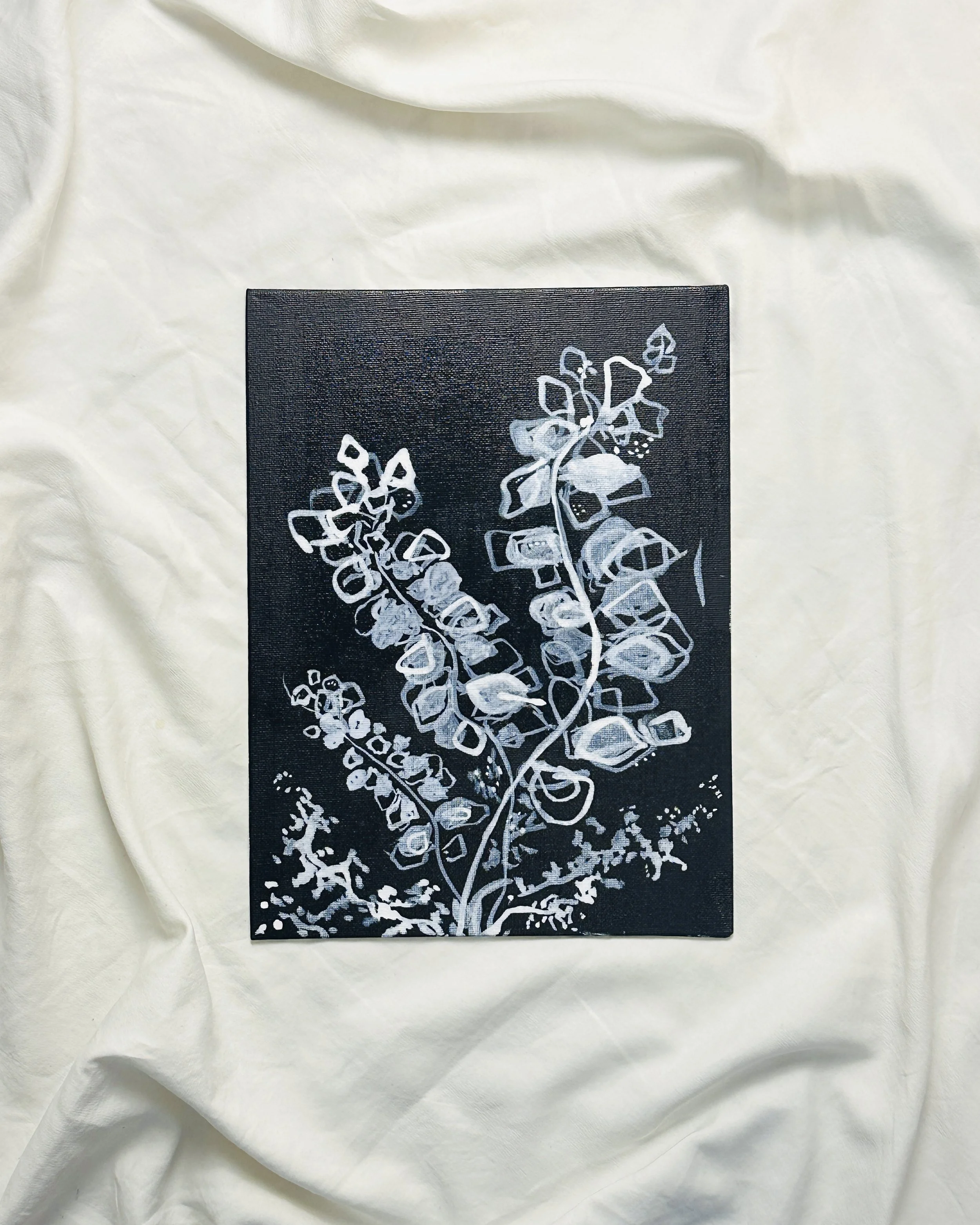 Twisted Eucalyptus.jpg