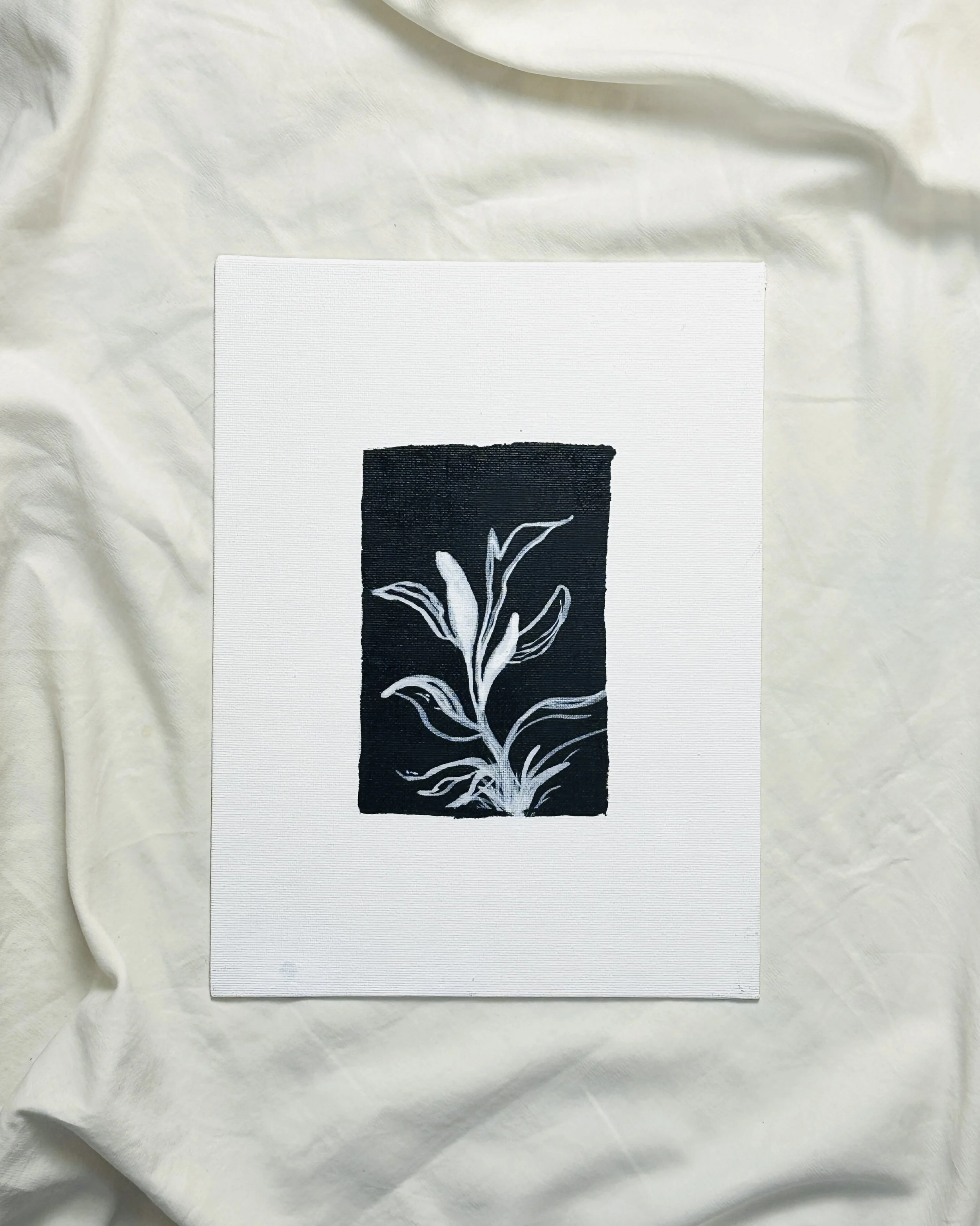 Growing Plant.jpg