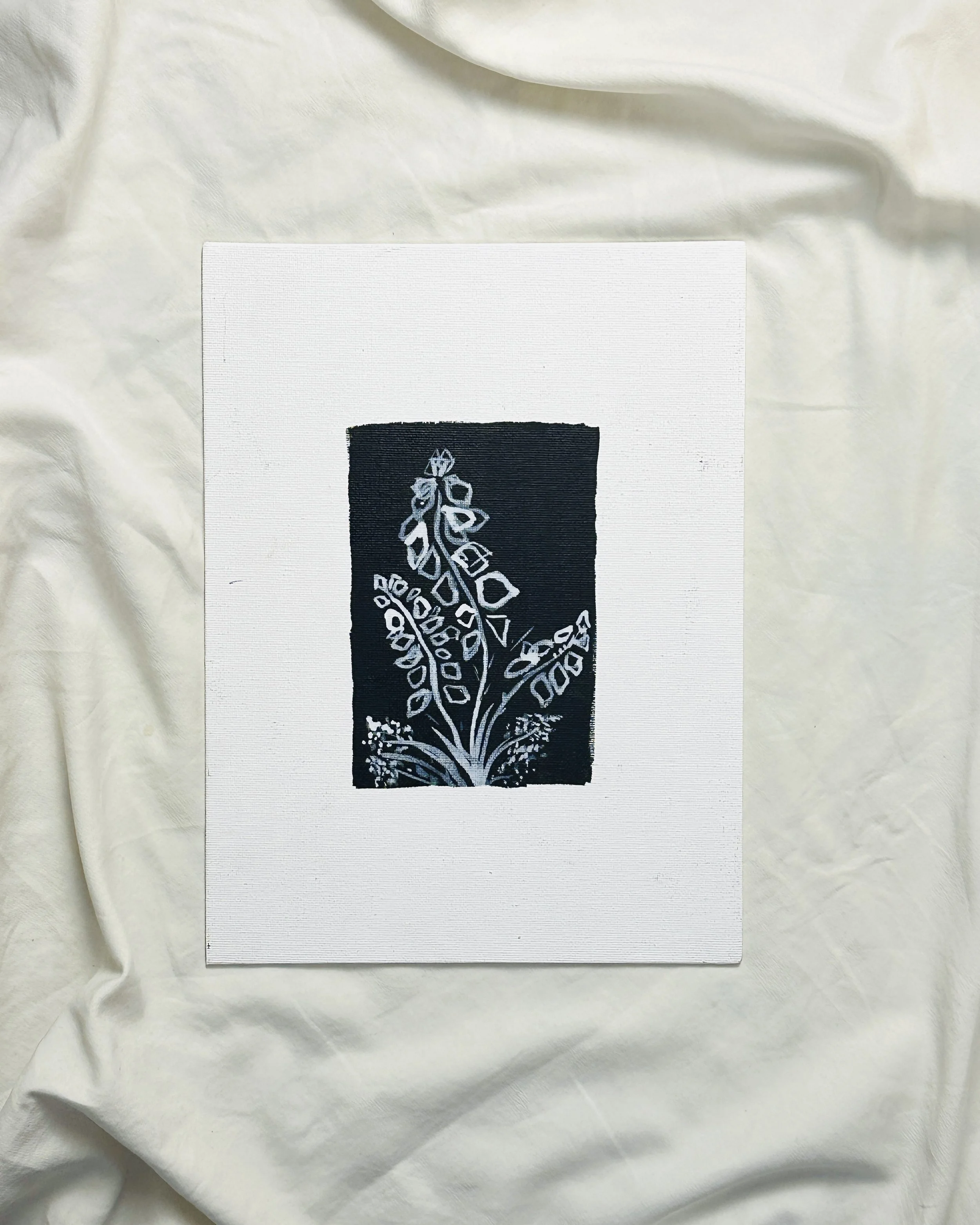 Growing Eucalyptus.jpg