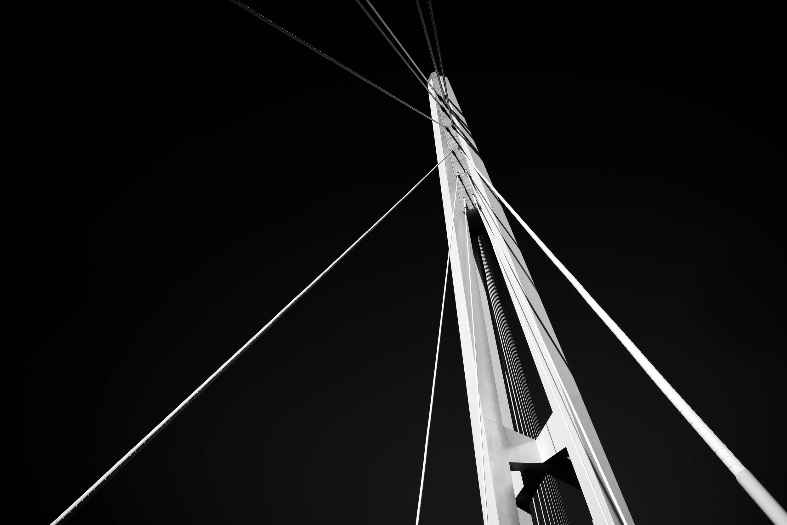 20241227-0050.jpg