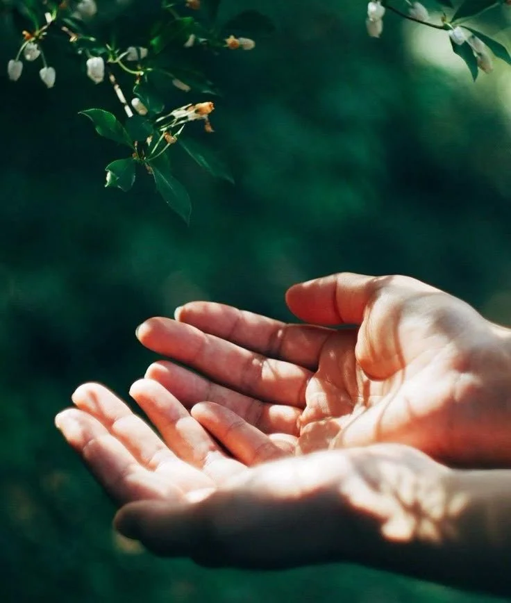 Why Integrative Mental Health Matters in Therapy