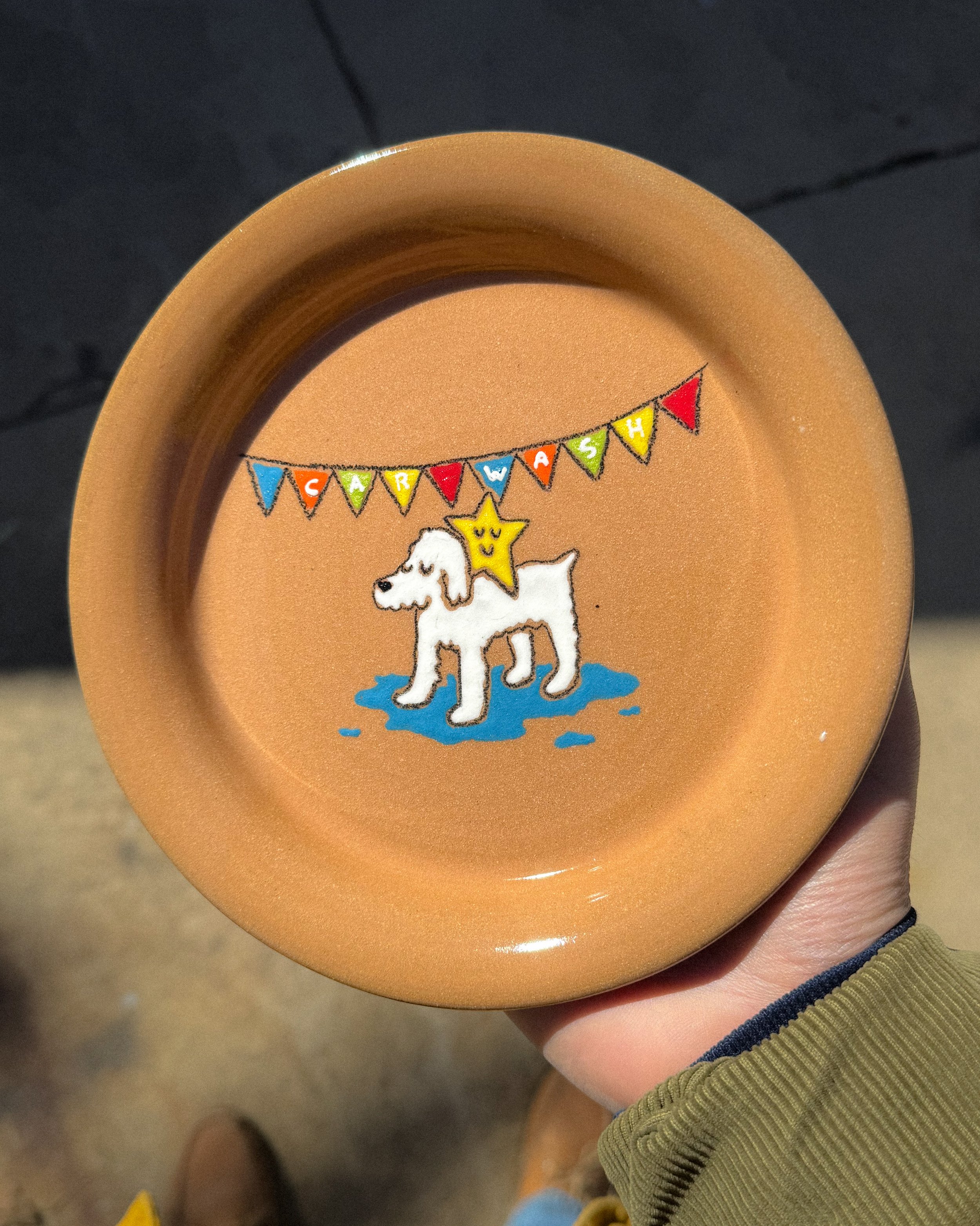 Dog Washer Catch-All