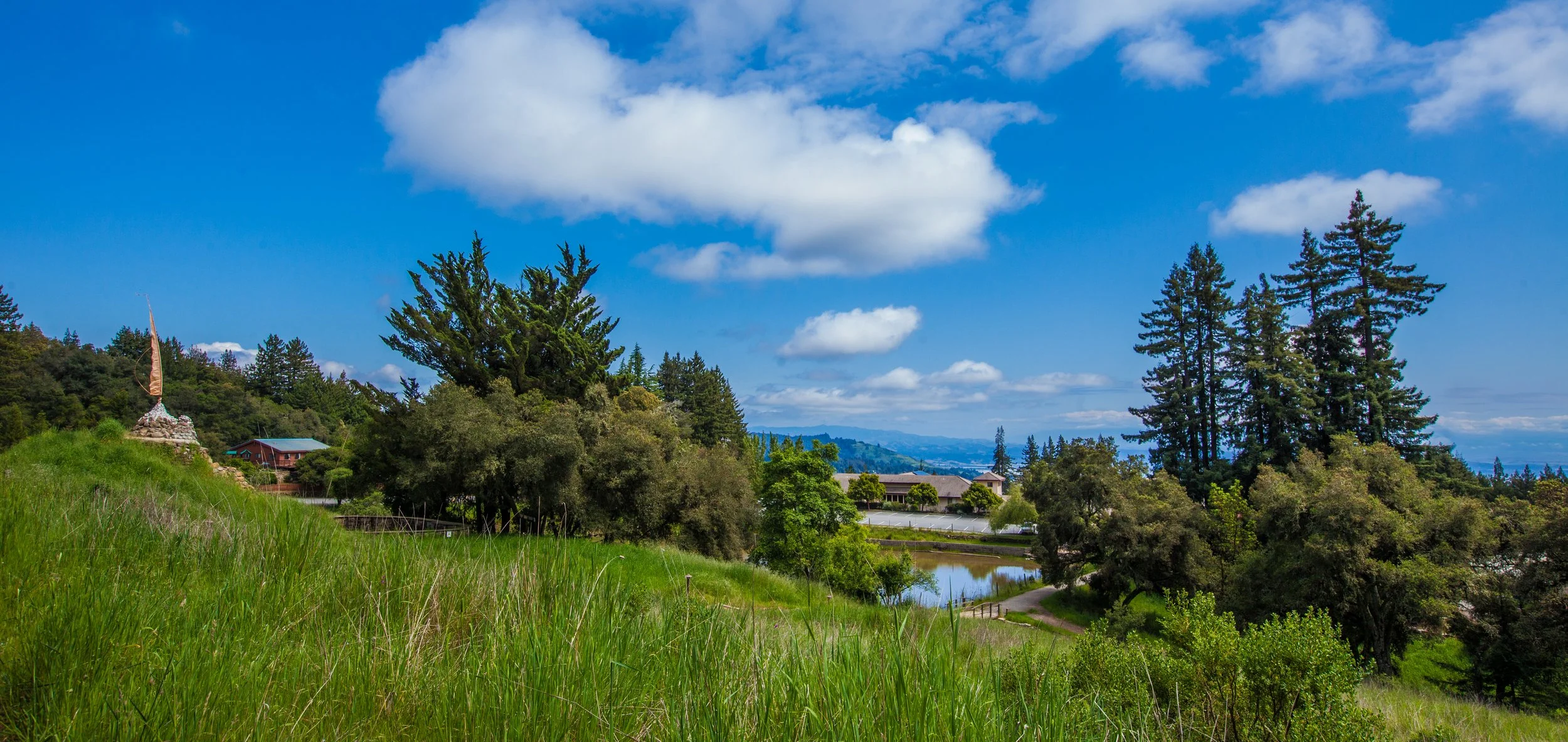 View_Fields&Lake_Vista_WIDE.jpg