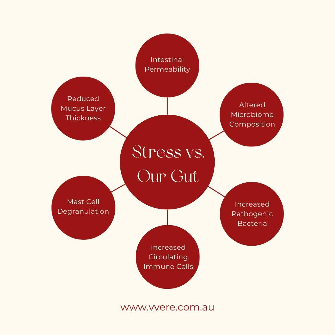 If you're feeling stressed your gut is feeling it too!!!😫😫

Stress isn't just clouding your mind.... it can also play a role in the thinning out of the the mucus layer, increasing gut permeability, disrupting the balance of your microbiome composit