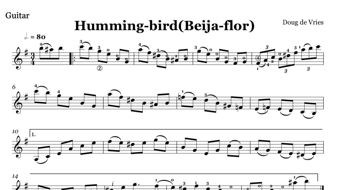 Hummingbird (Beija-flor) preview.jpeg