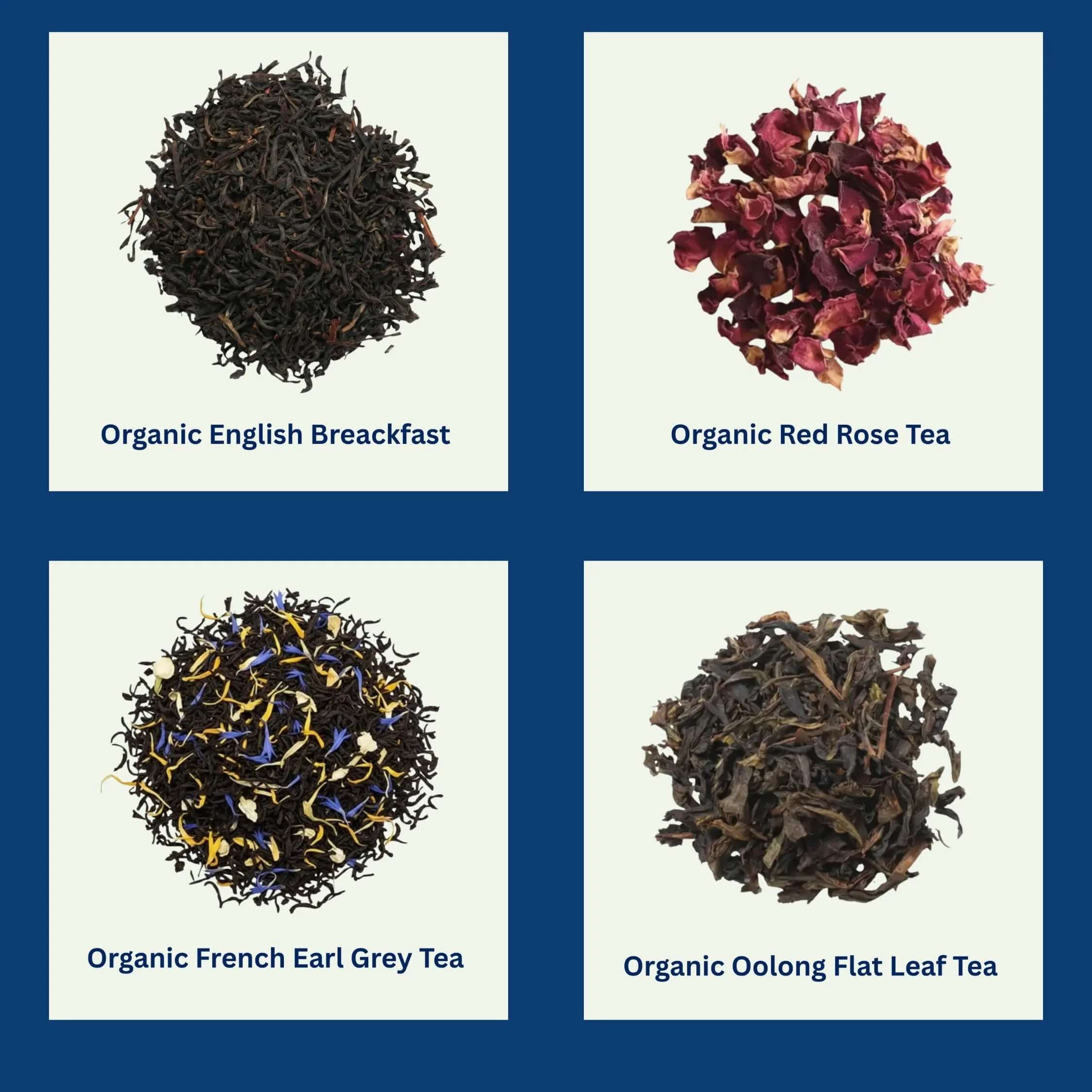 Your paragraph text (69).jpg