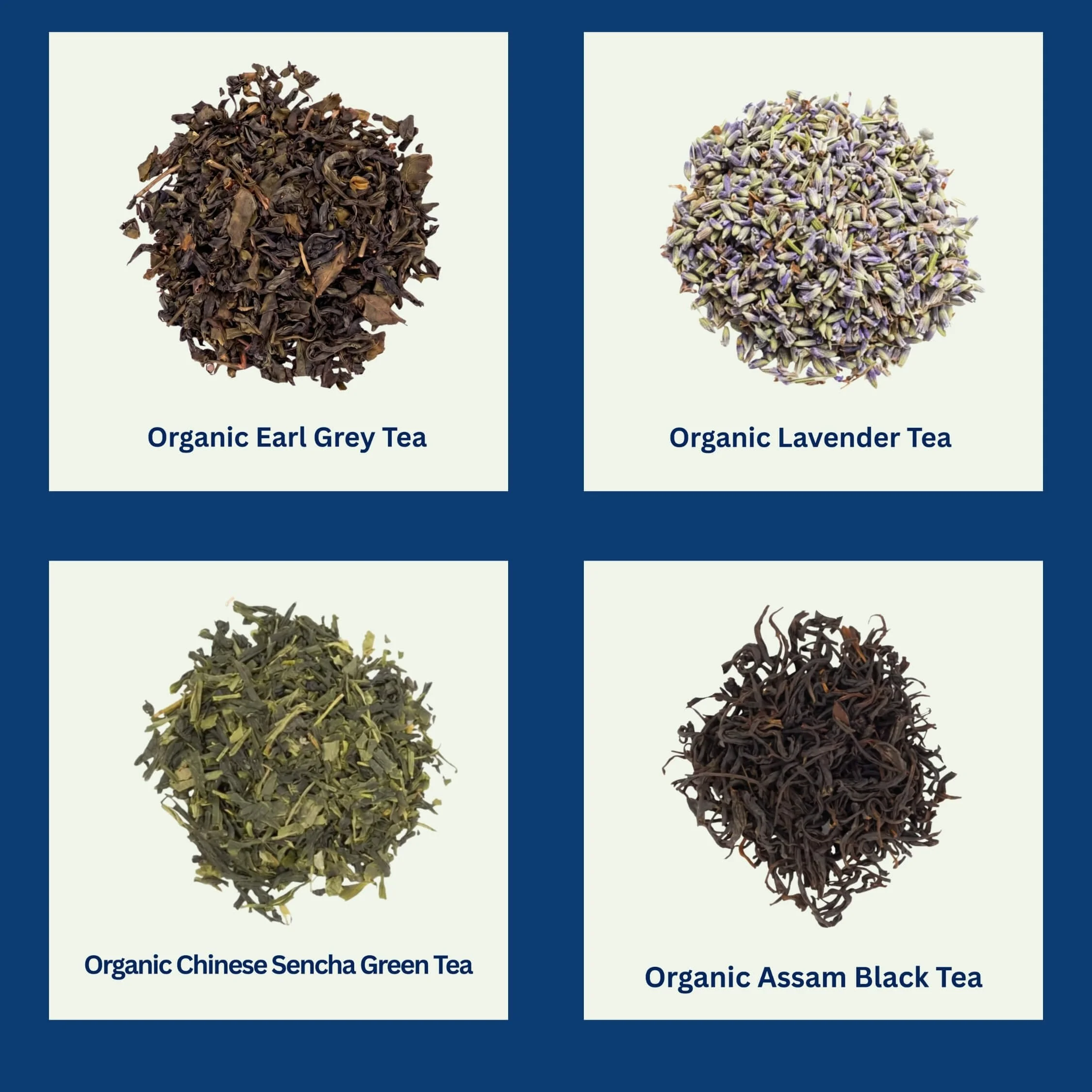 Your paragraph text (70).jpg