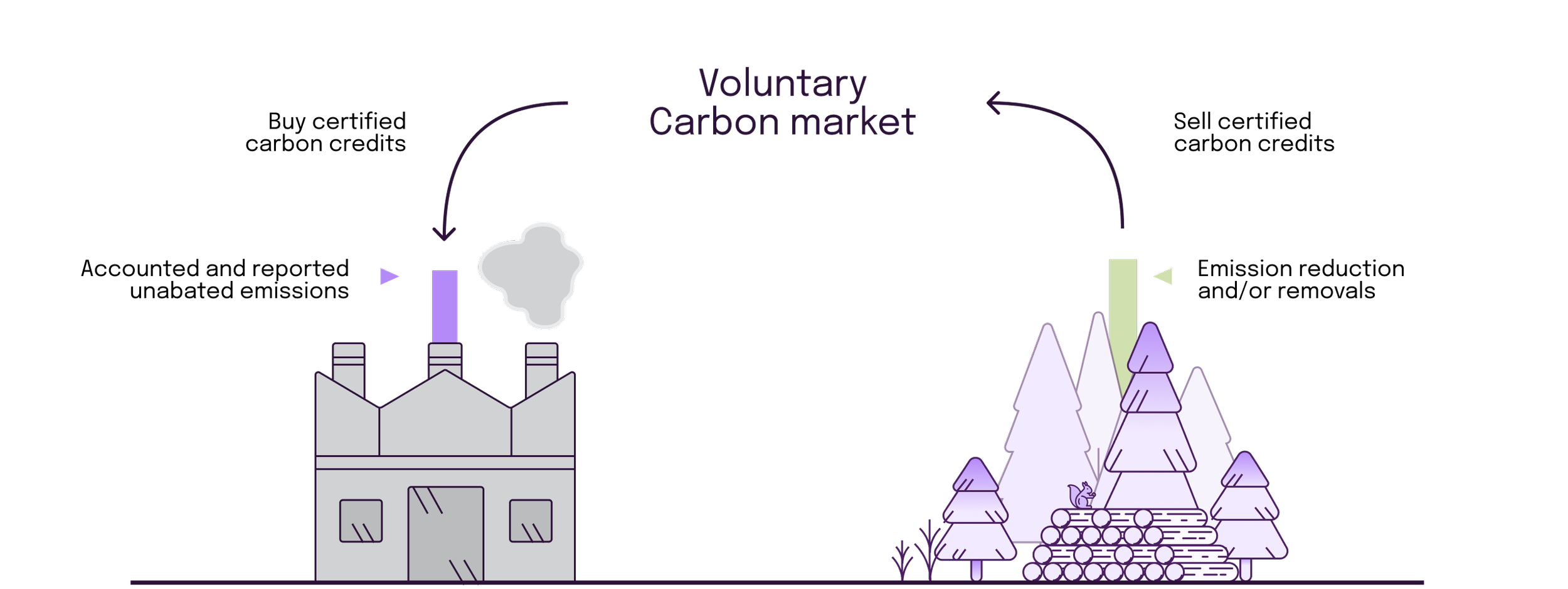 Understanding carbon markets — Noora