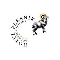 images hotel plesnik.jpeg