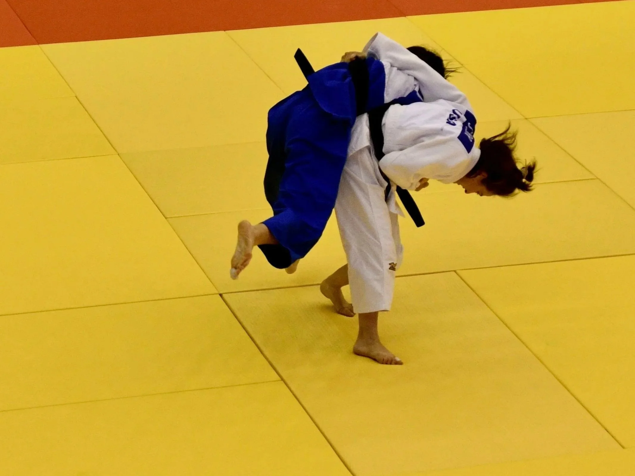 Judoka in white picks on judoka in blue on hip to throw during international competition