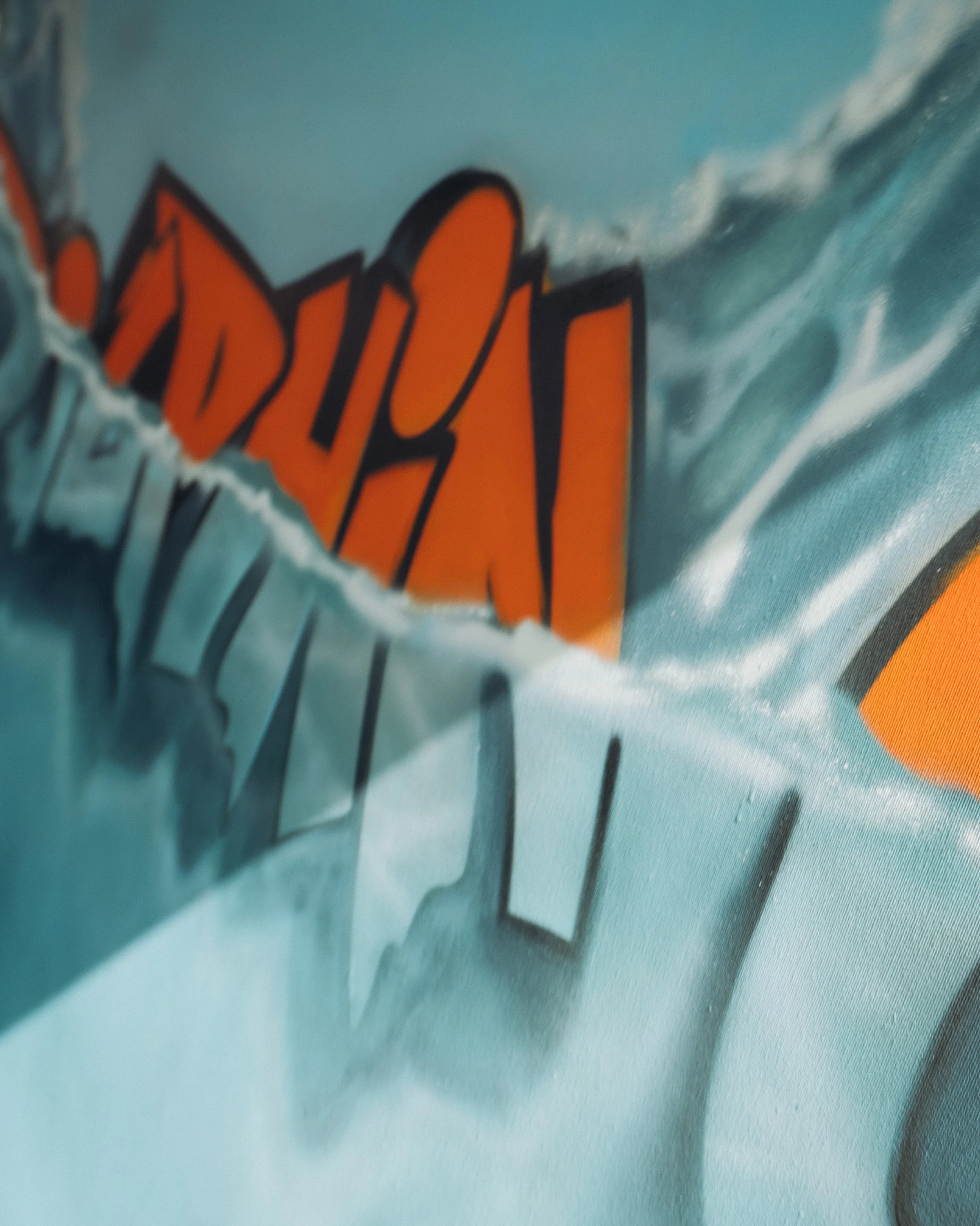 dolphin g customa artwork