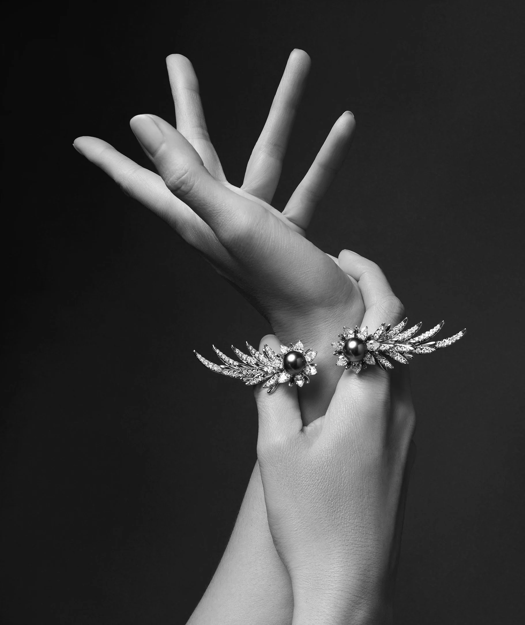 Shot_4_341_0001__BW.jpg
