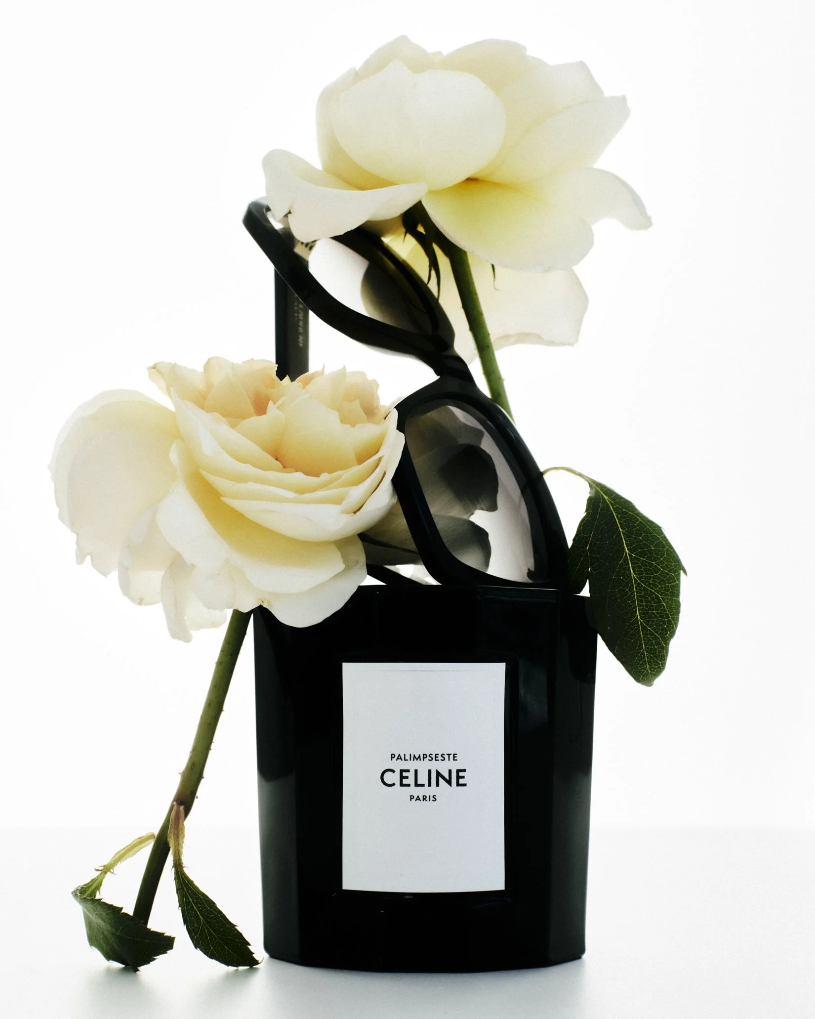 Still Life 1 20267583.jpg