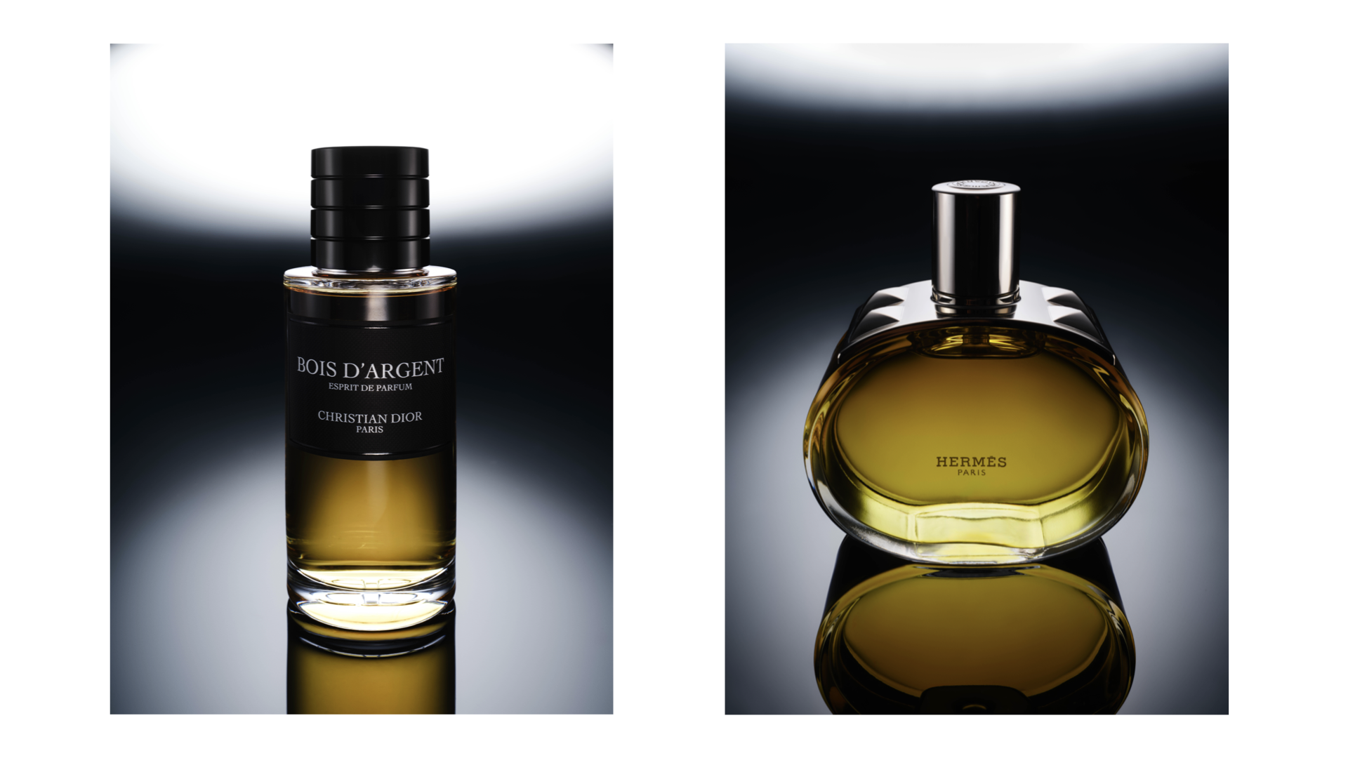 Greg Delves New Work 2026.009.png