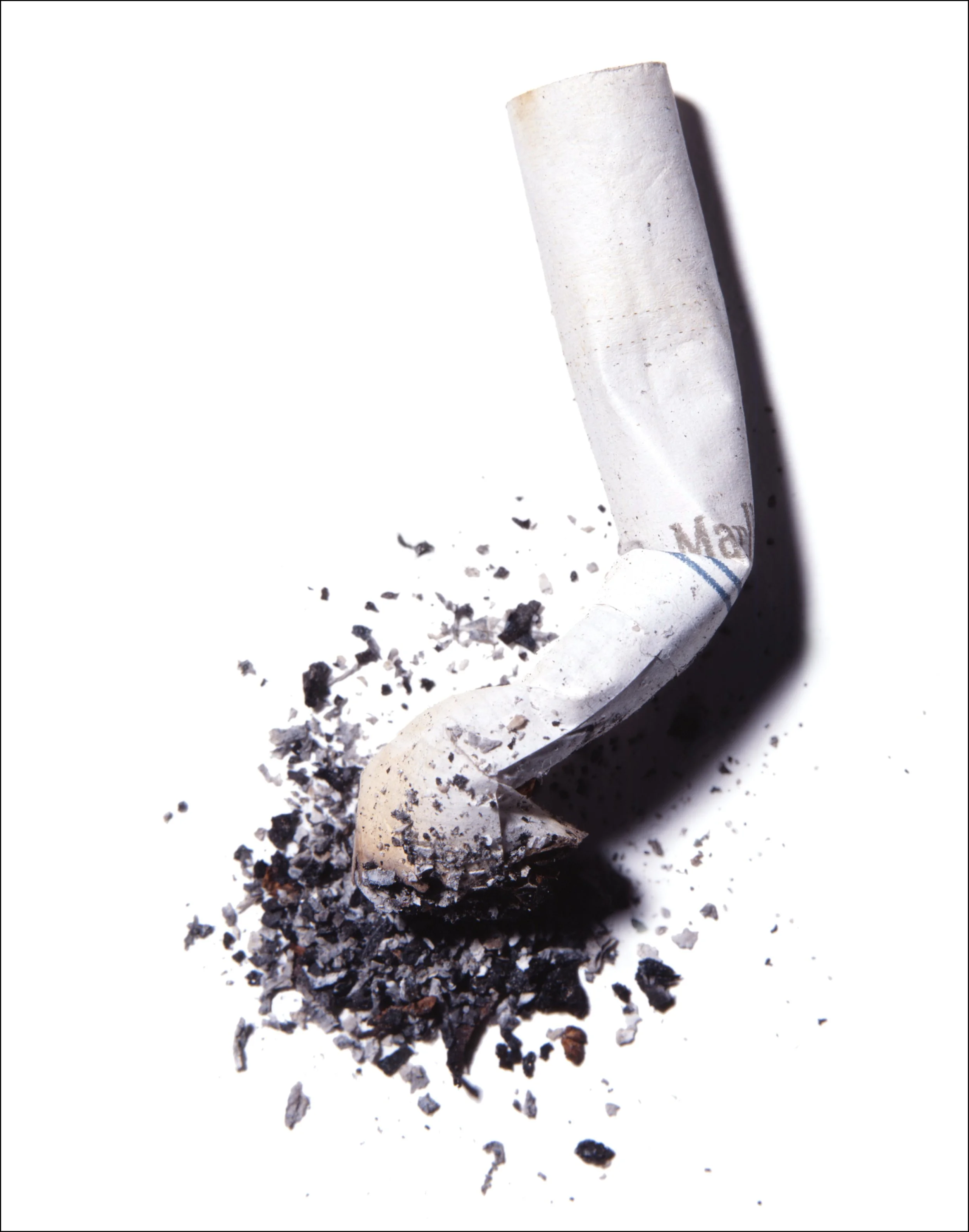 24 Cigarette Butt 11x14.jpg