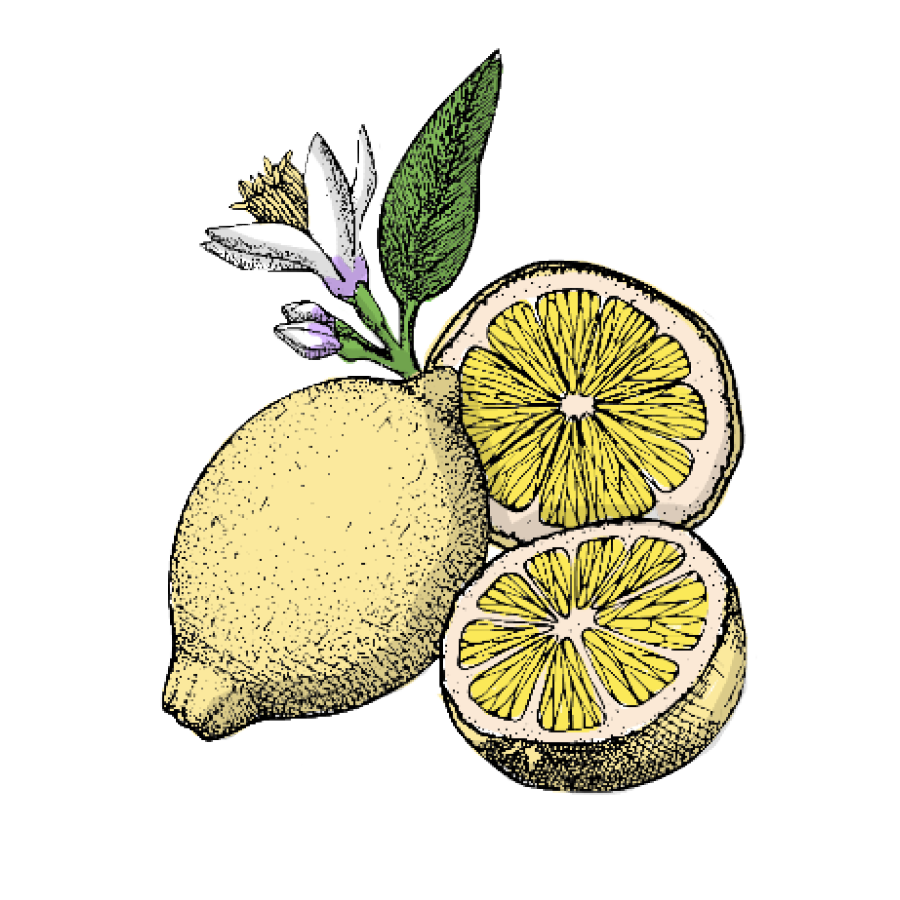 lemone.png