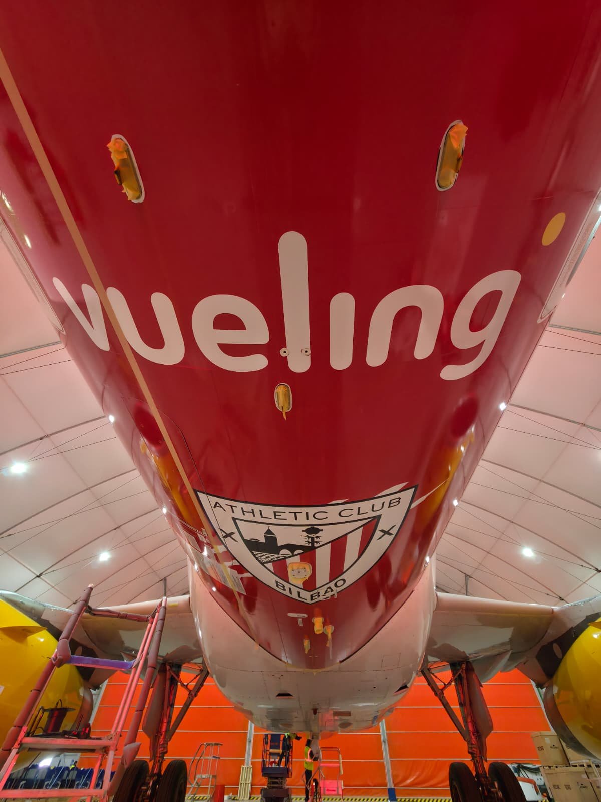 Aircraft Liveries as a Strategic Visibility Tool: Vueling x LogoSky
