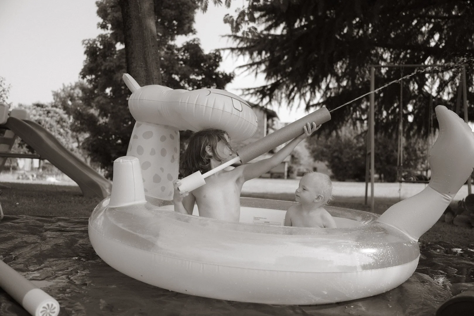 DSC_3934.jpg