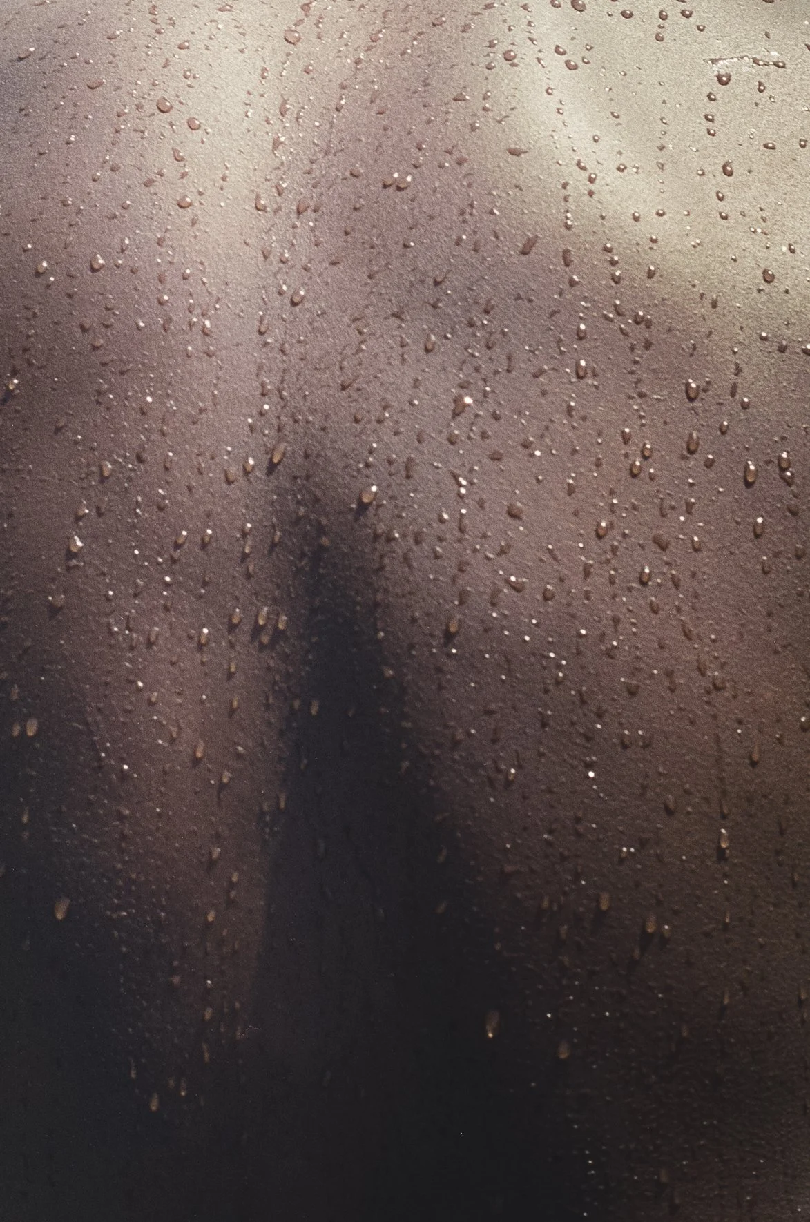 Fred-Nicolas-Photogrape-Biarritz-PAris-Prune-Close UP.jpg