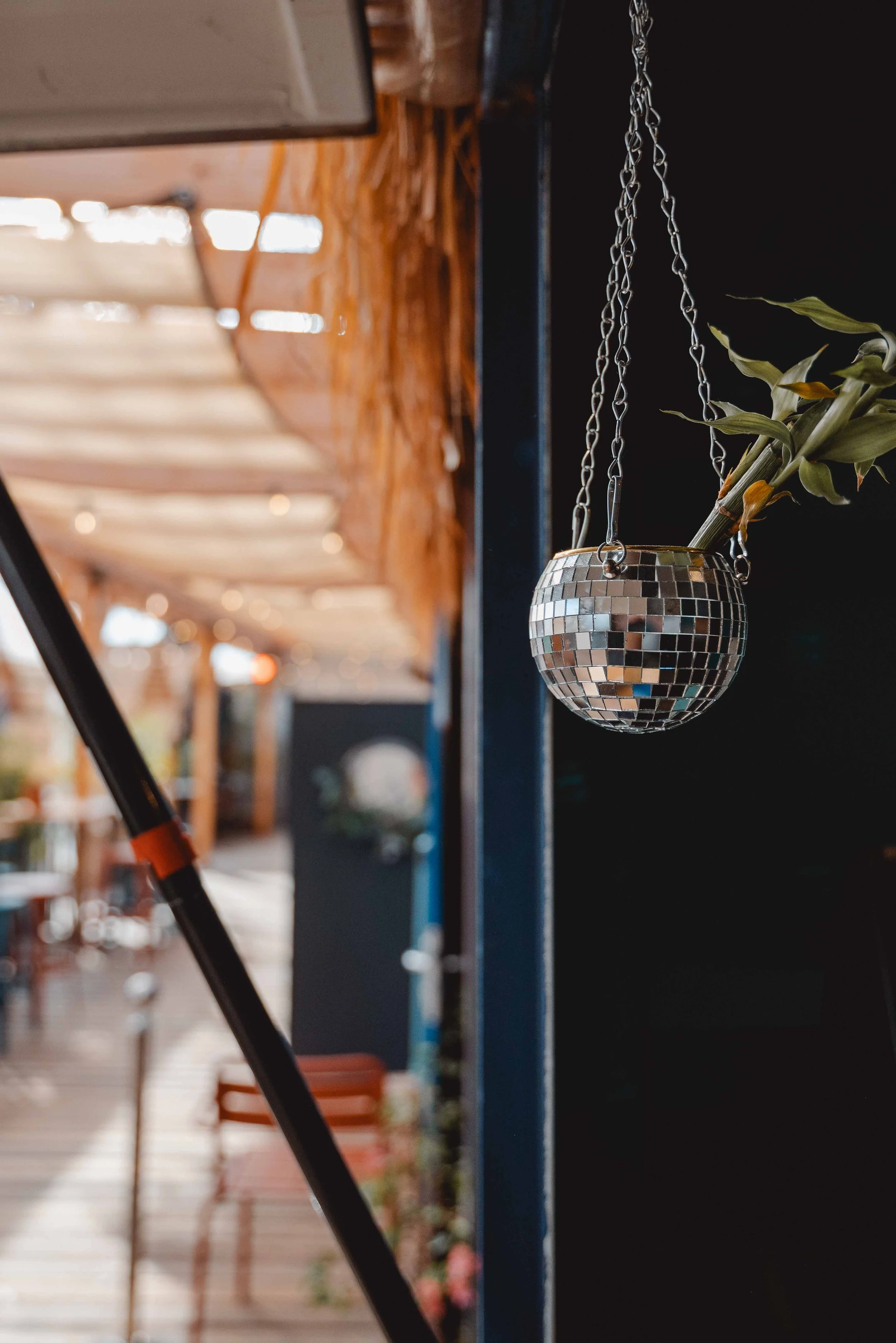 September 2025☼Tischler im Norden_Final_small_cc_tamari-fotografie.de-216.jpg