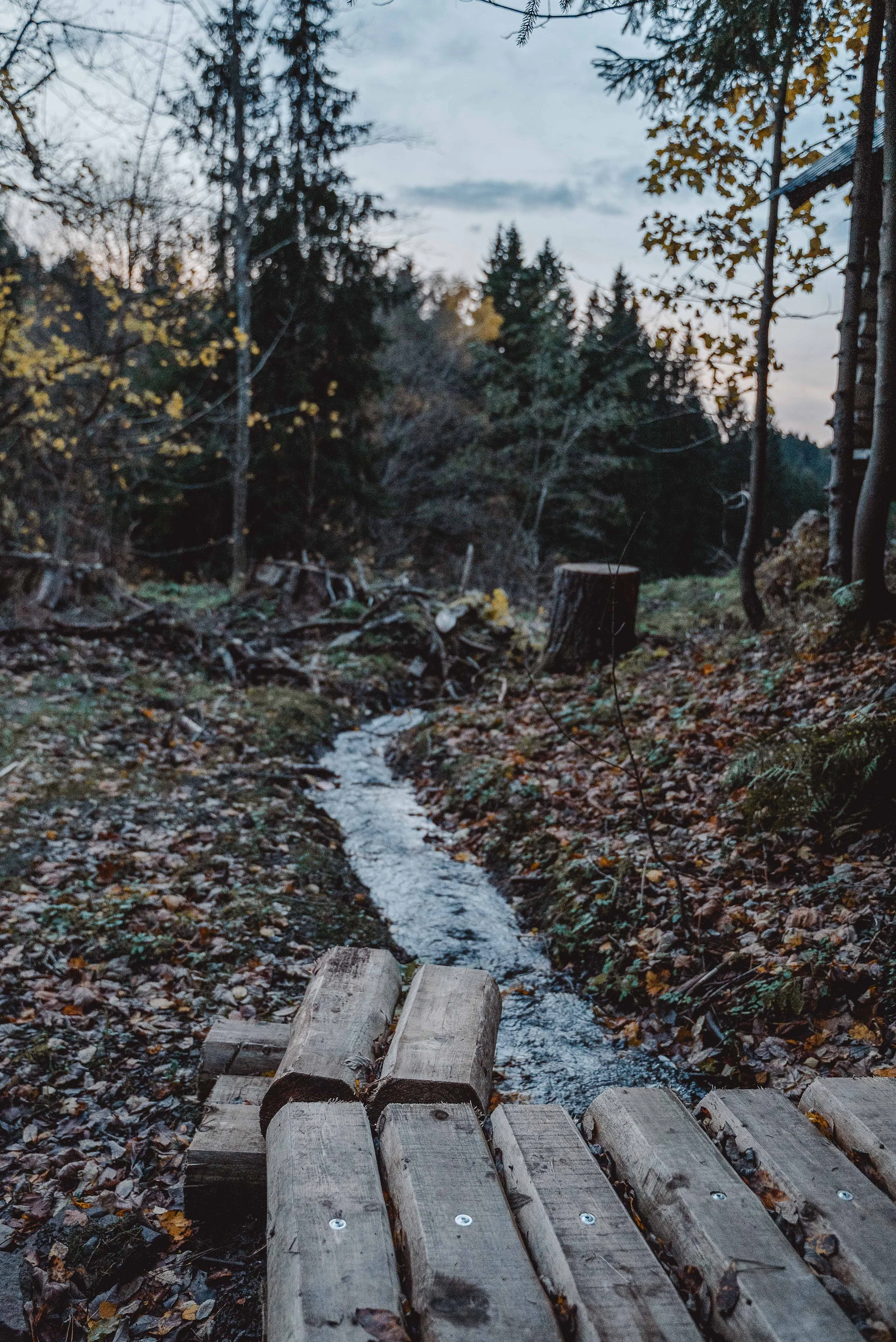 Business Portfolio Interieur_cc_tamari-fotografie.com-63.jpg