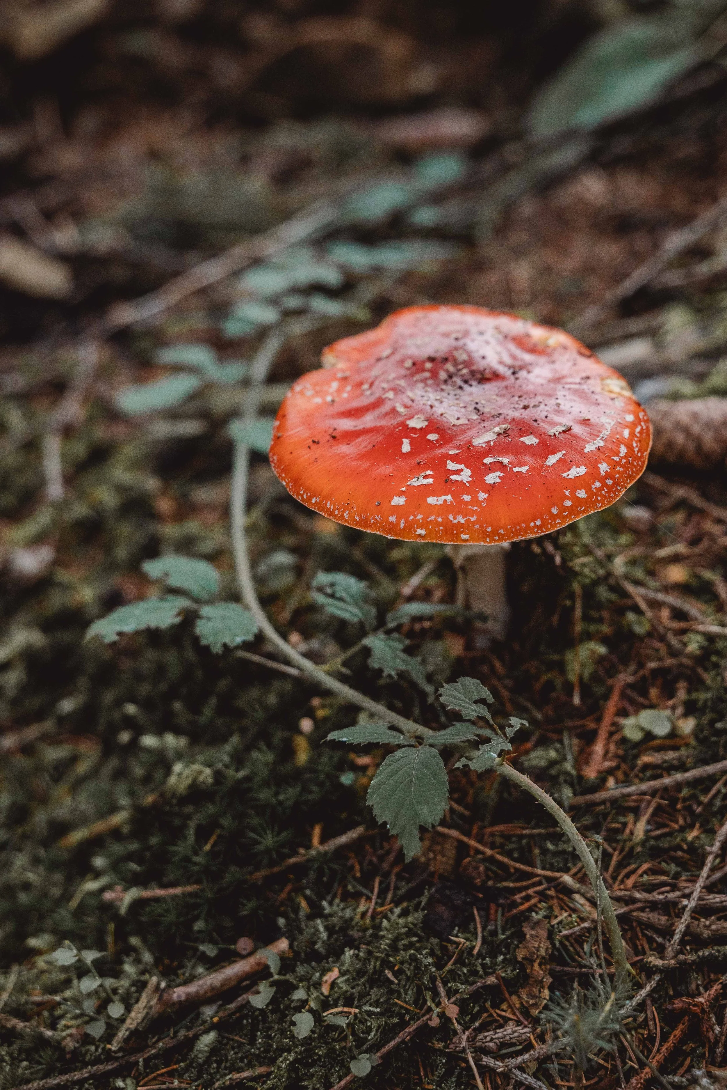 Business Portfolio Interieur_cc_tamari-fotografie.com-56.jpg