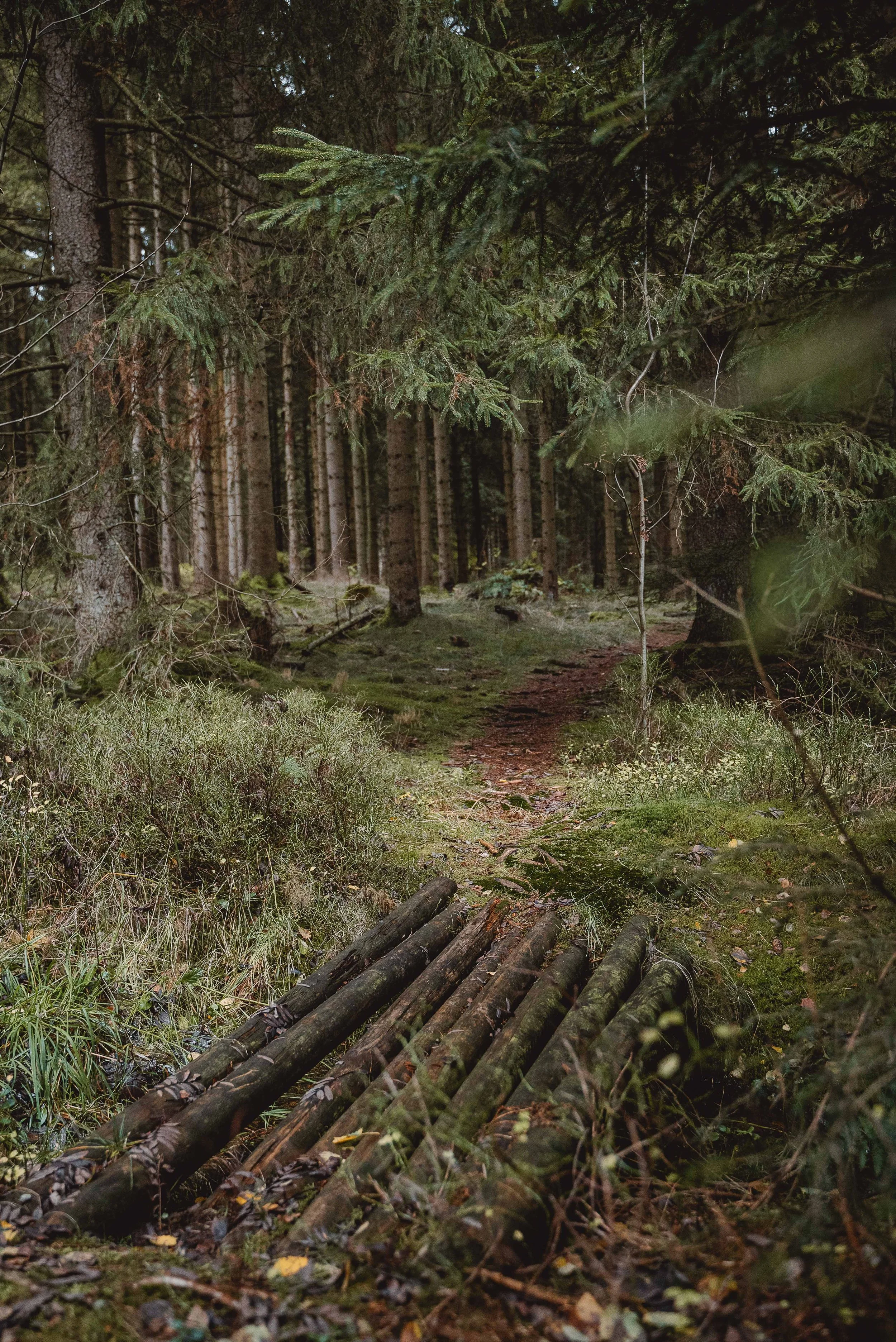 Business Portfolio Interieur_cc_tamari-fotografie.com-44.jpg