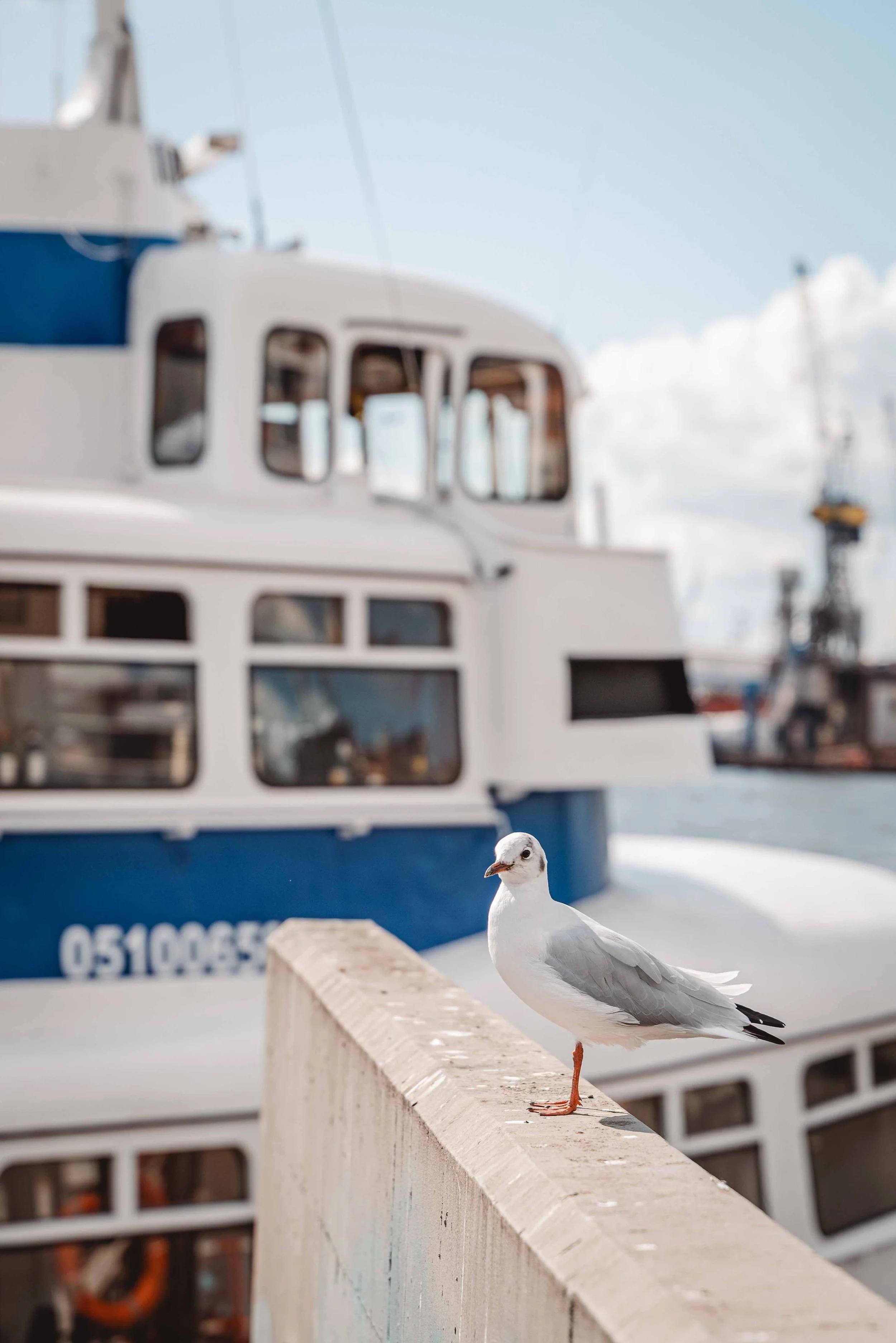 September 2025☼Tischler im Norden_Final_small_cc_tamari-fotografie.de-2.jpg