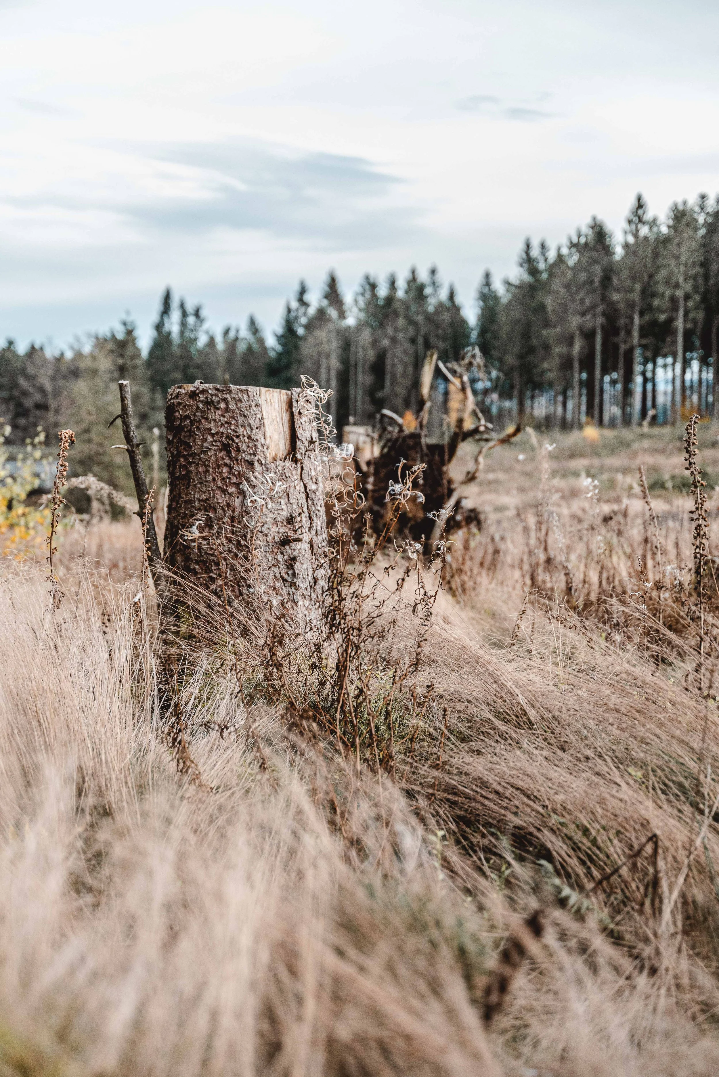 Business Portfolio Interieur_cc_tamari-fotografie.com-42.jpg