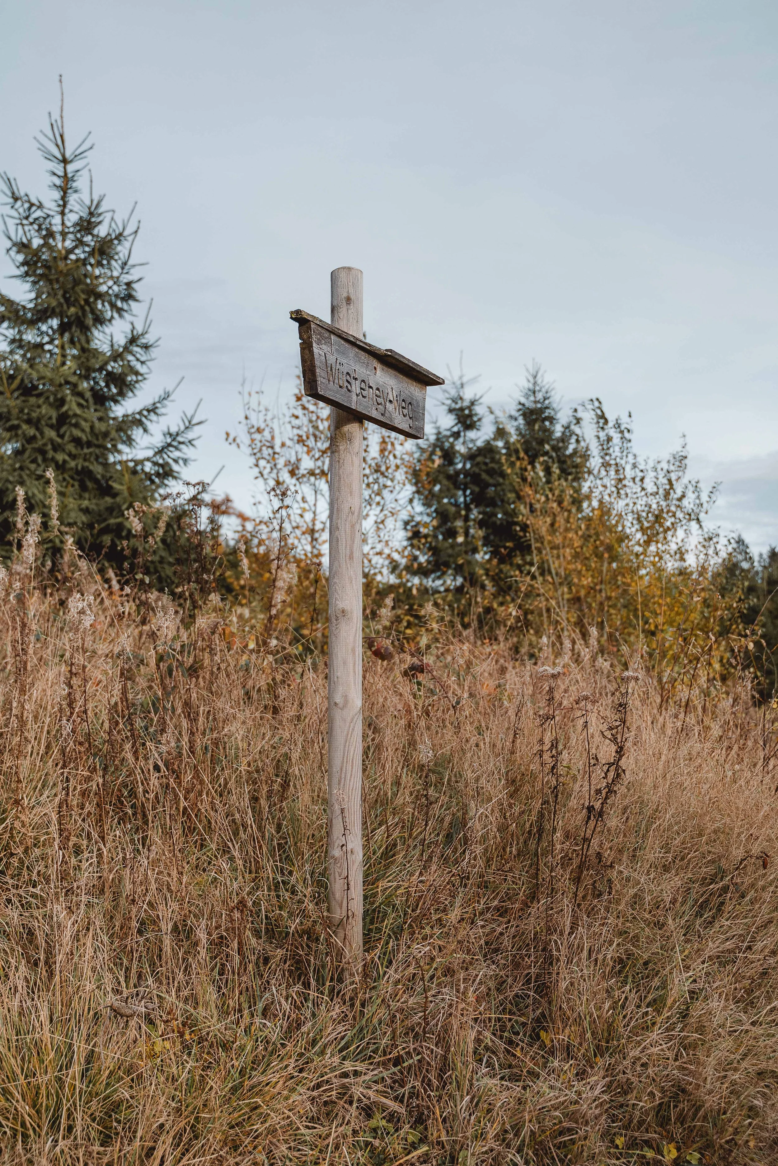 Business Portfolio Interieur_cc_tamari-fotografie.com-29.jpg