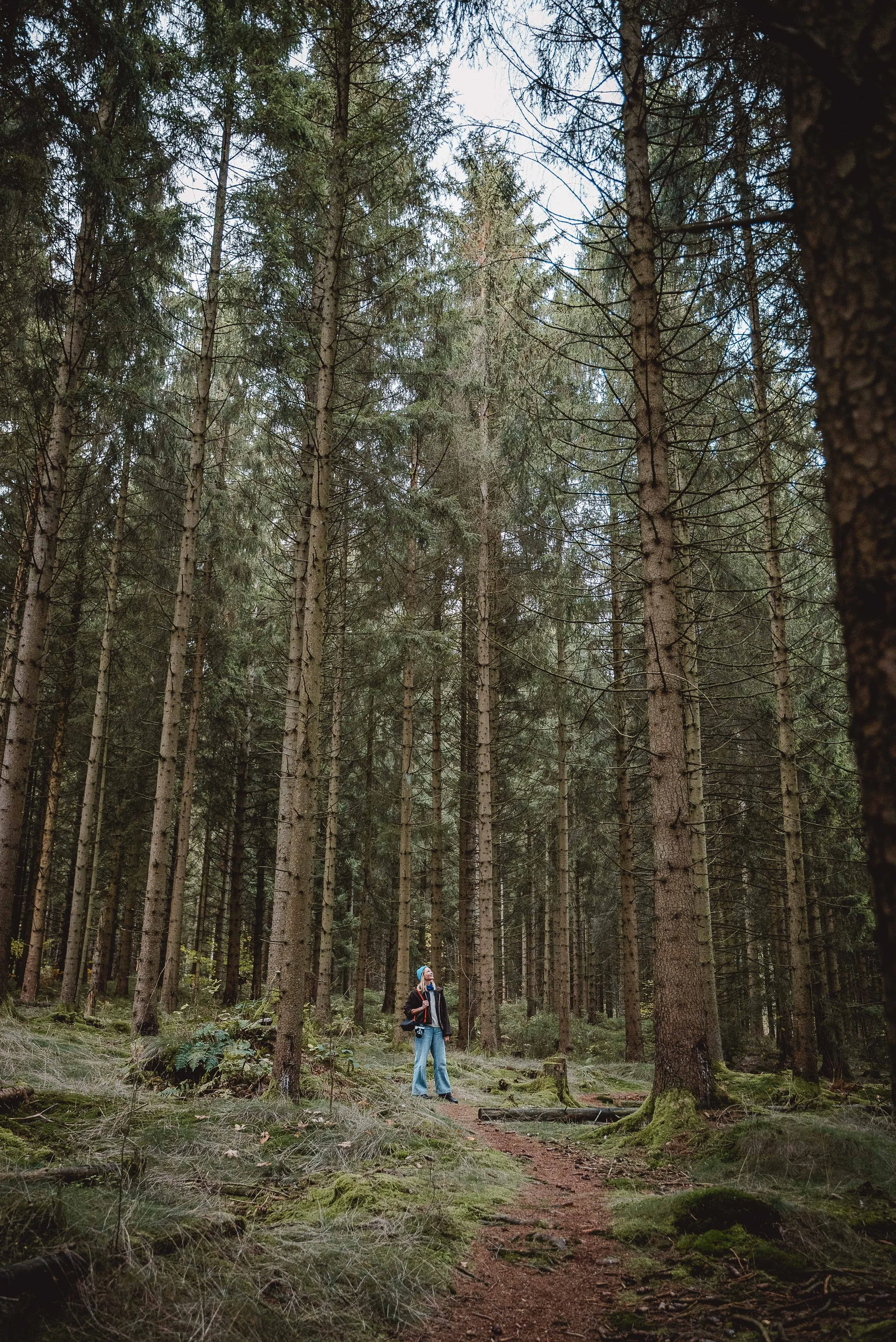 Business Portfolio Interieur_cc_tamari-fotografie.com-46.jpg