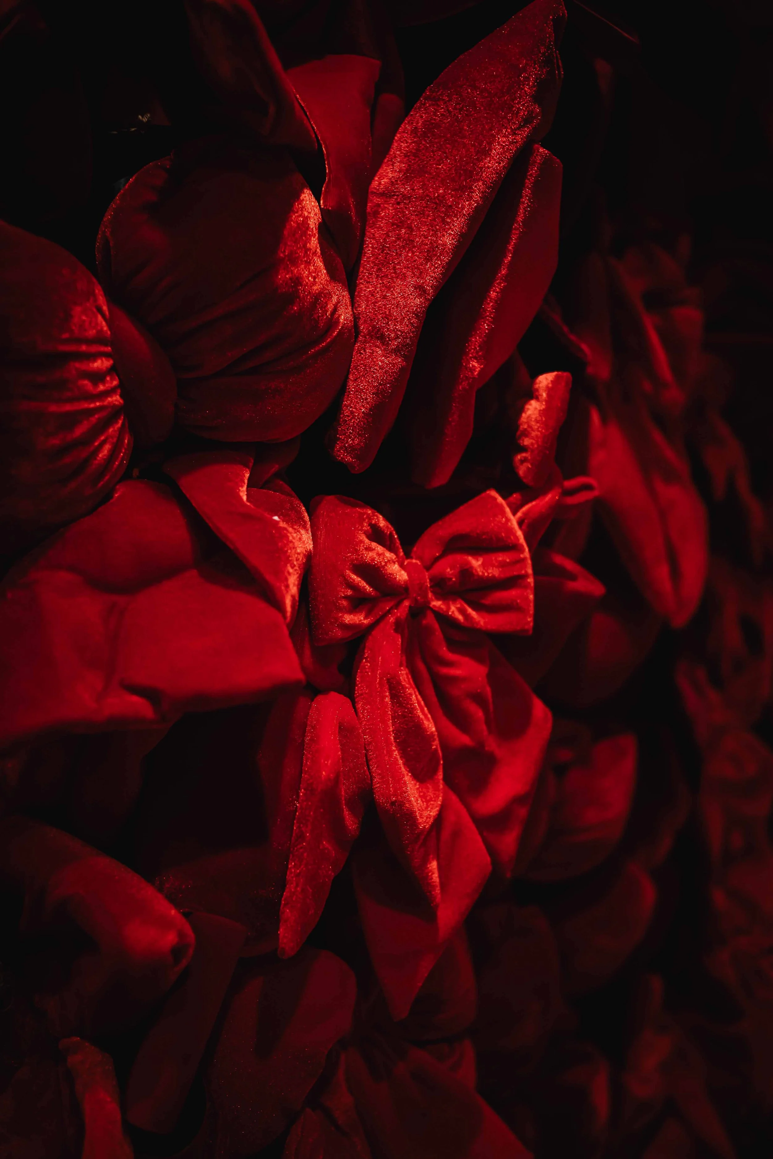 November 2025☼Vernissage Blumenbinderei_Social Media_cc_tamari-fotografie.de-38.jpg