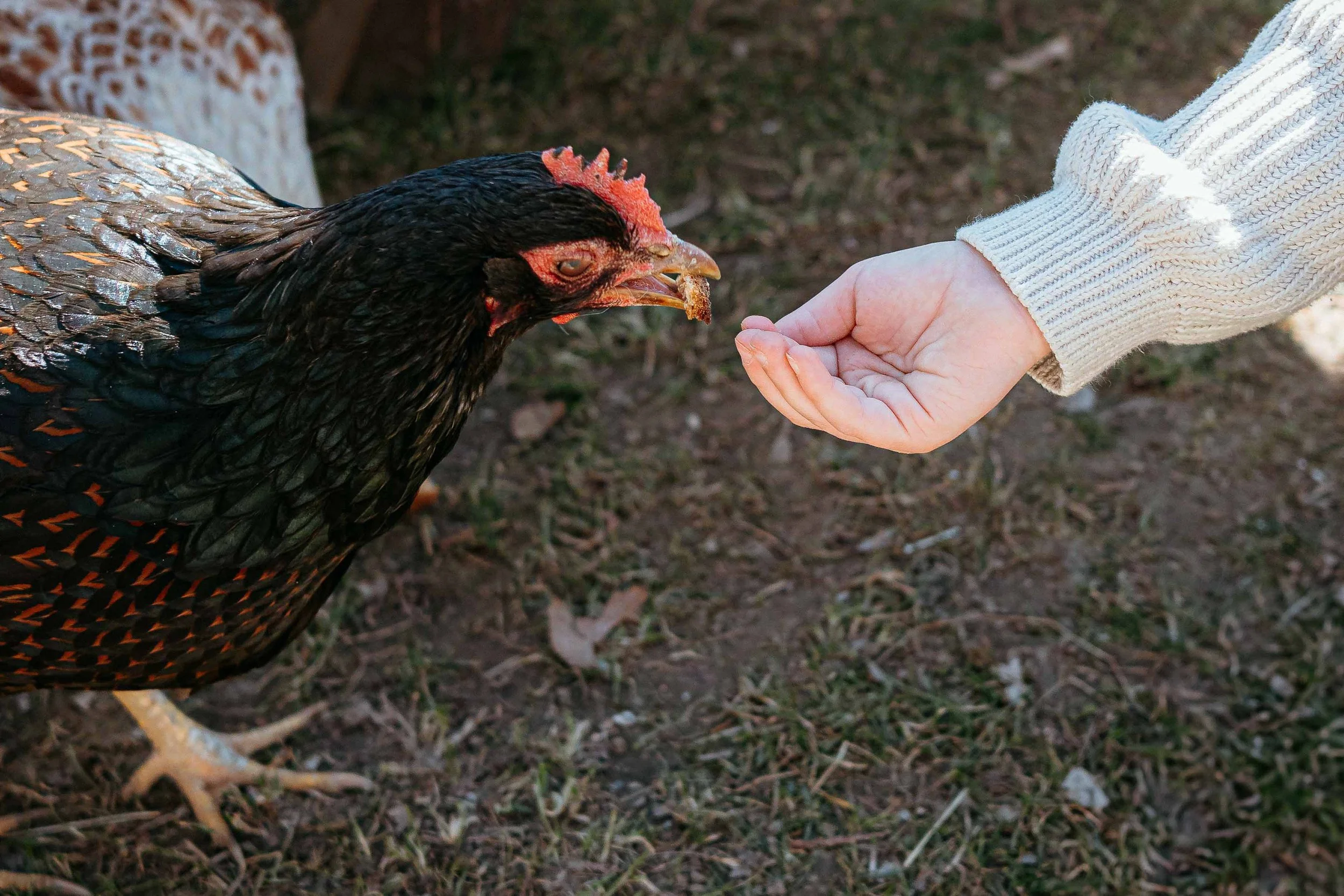 Business Portfolio Ferienhaus Familien_cc_tamari-fotografie.com-37.jpg