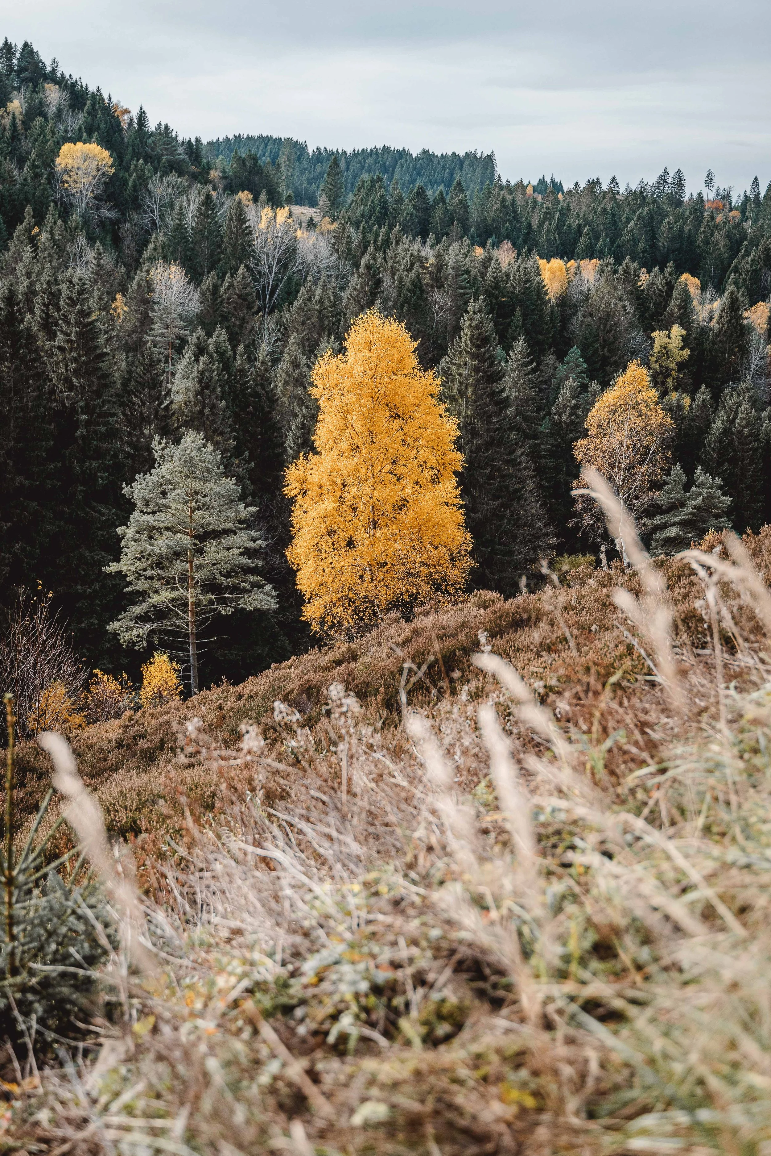 Business Portfolio Interieur_cc_tamari-fotografie.com-21.jpg