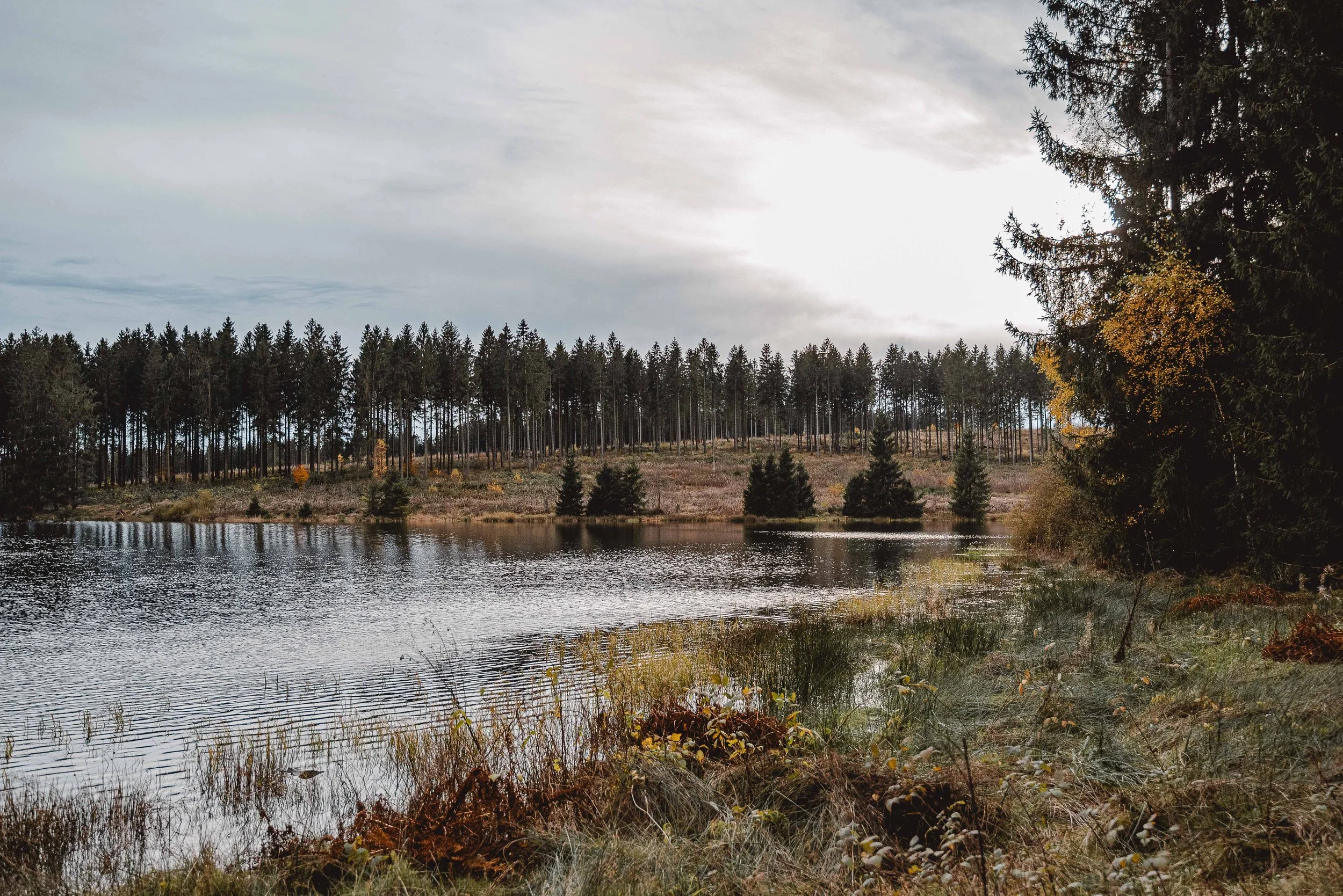 Business Portfolio Interieur_cc_tamari-fotografie.com-51.jpg