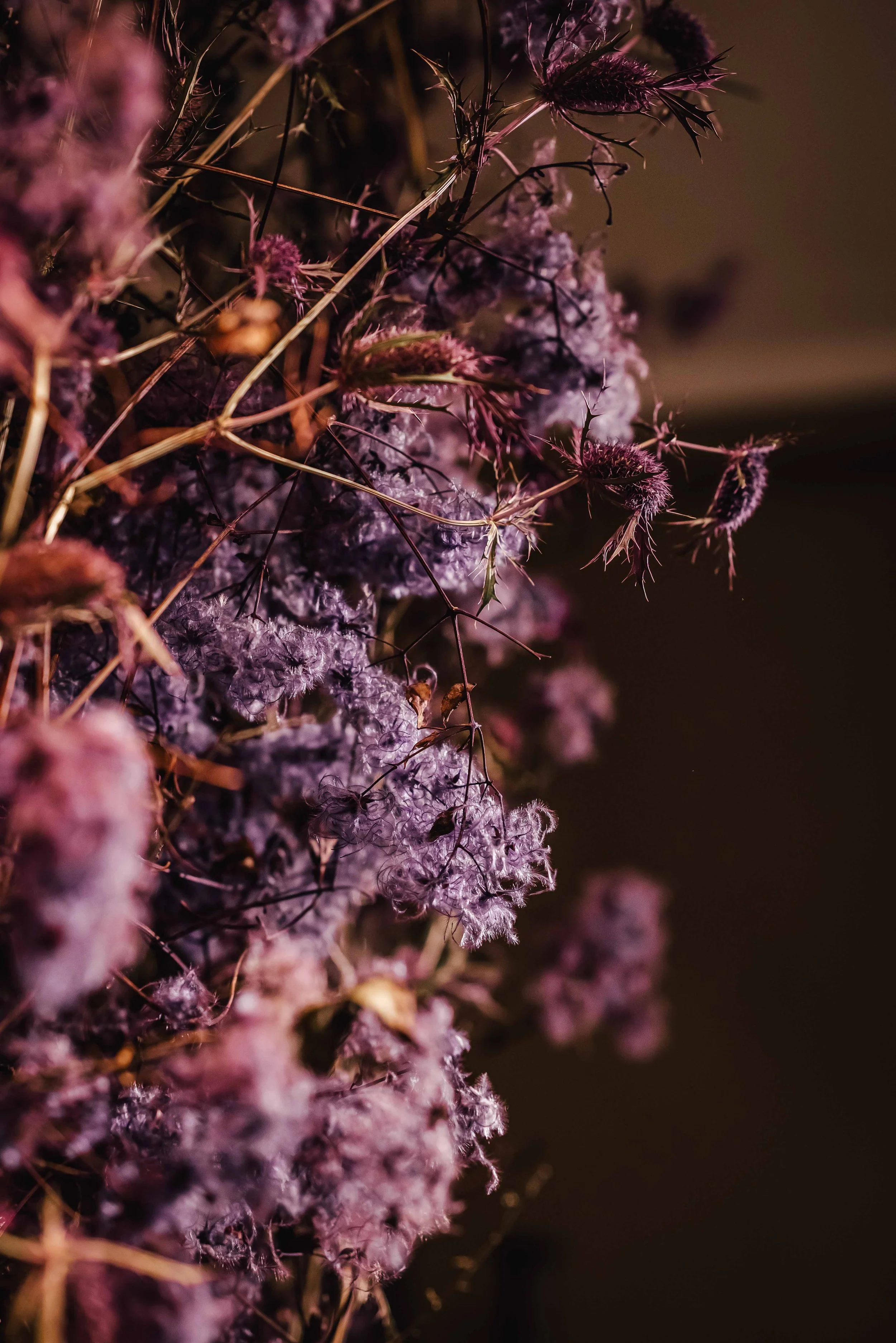 November 2025☼Vernissage Blumenbinderei_Social Media_cc_tamari-fotografie.de-41.jpg