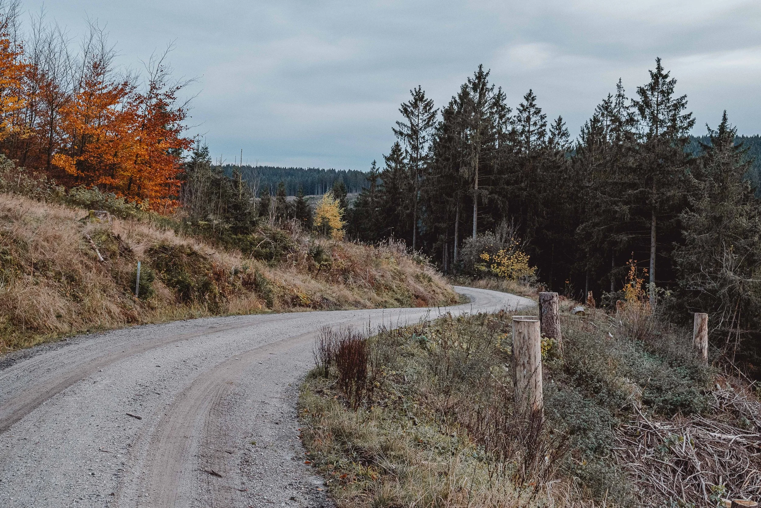 Business Portfolio Interieur_cc_tamari-fotografie.com-57.jpg