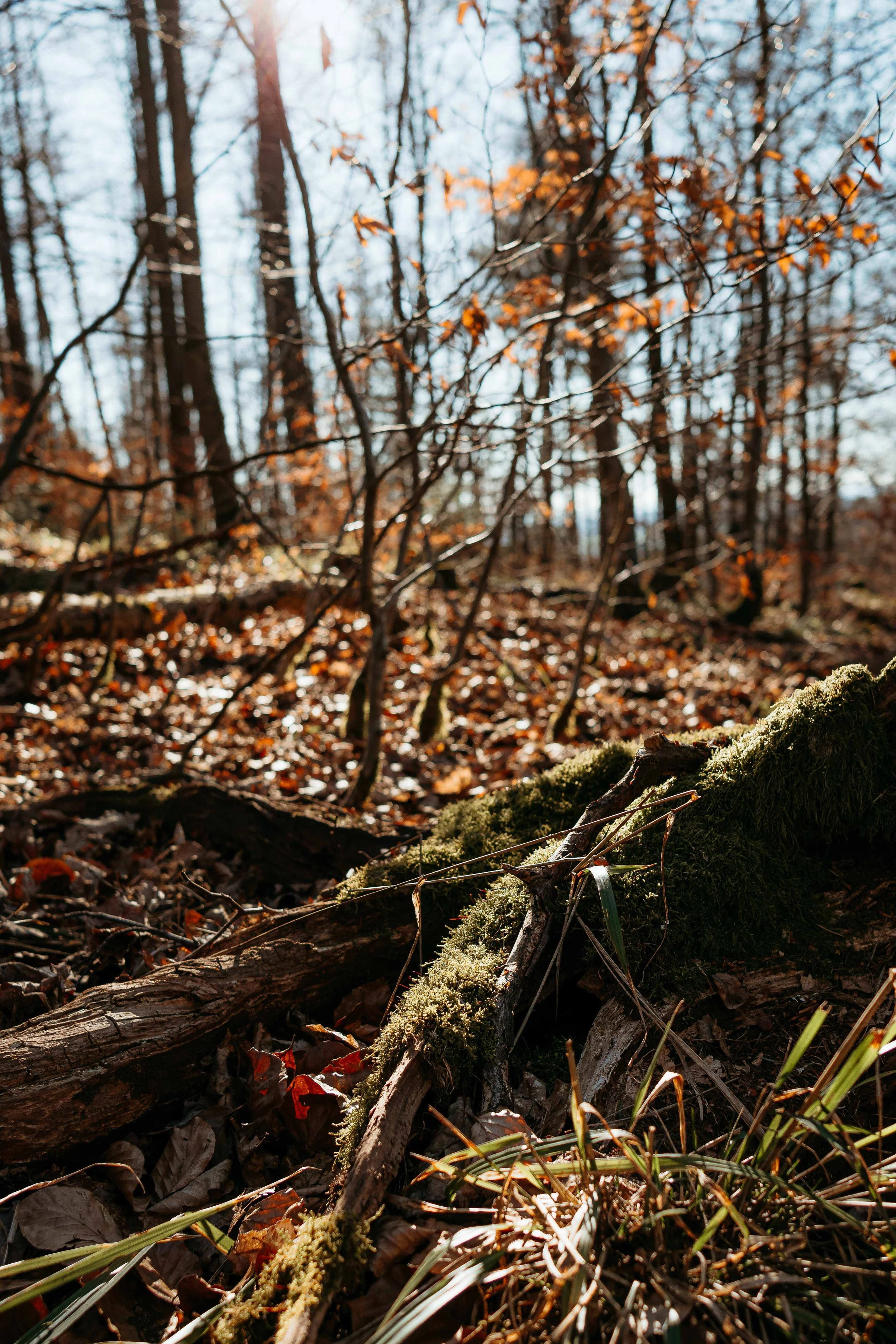 Business Portfolio Ferienhaus Familien_cc_tamari-fotografie.com-42.jpg