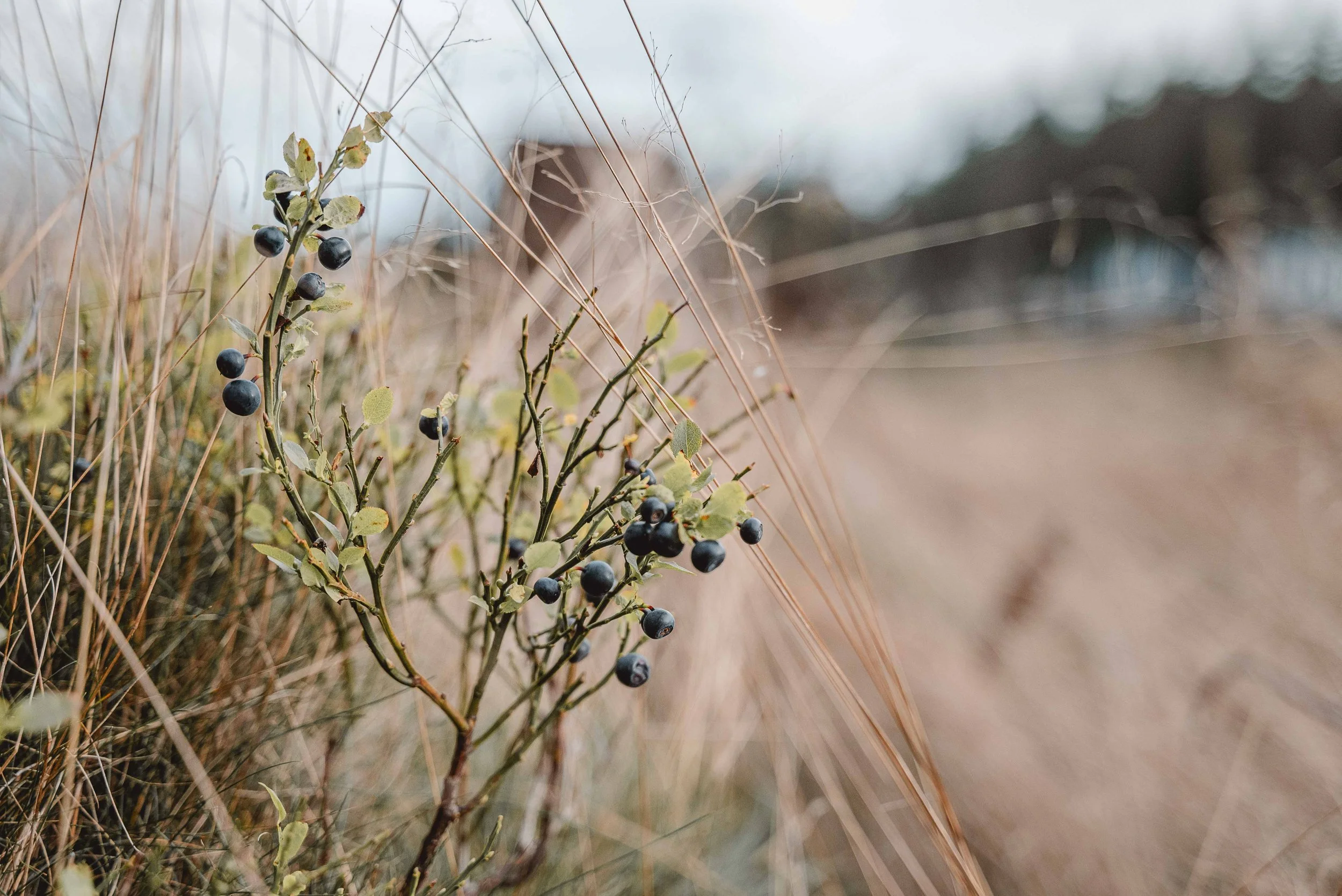 Business Portfolio Interieur_cc_tamari-fotografie.com-41.jpg