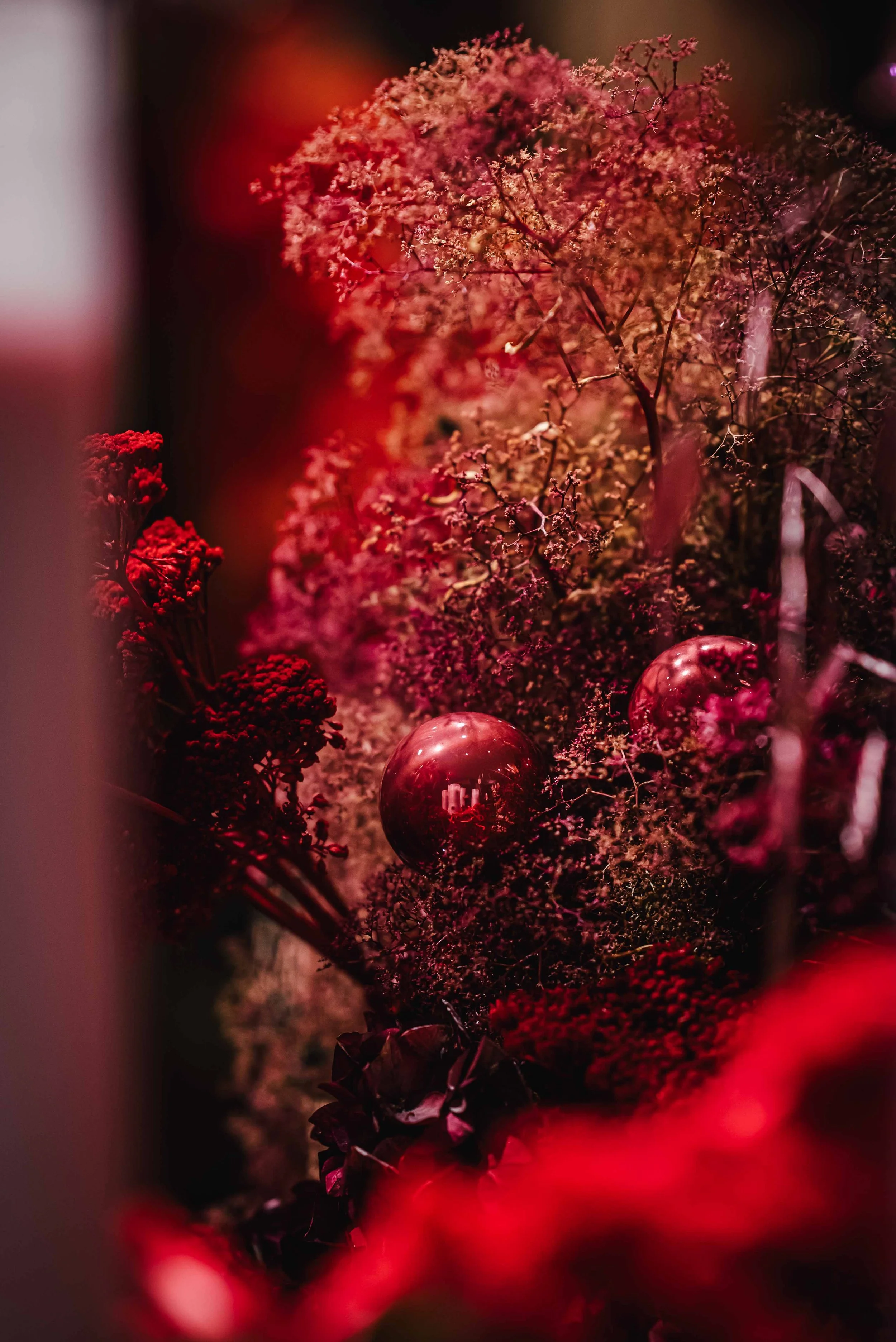 November 2025☼Vernissage Blumenbinderei_Social Media_cc_tamari-fotografie.de-5.jpg