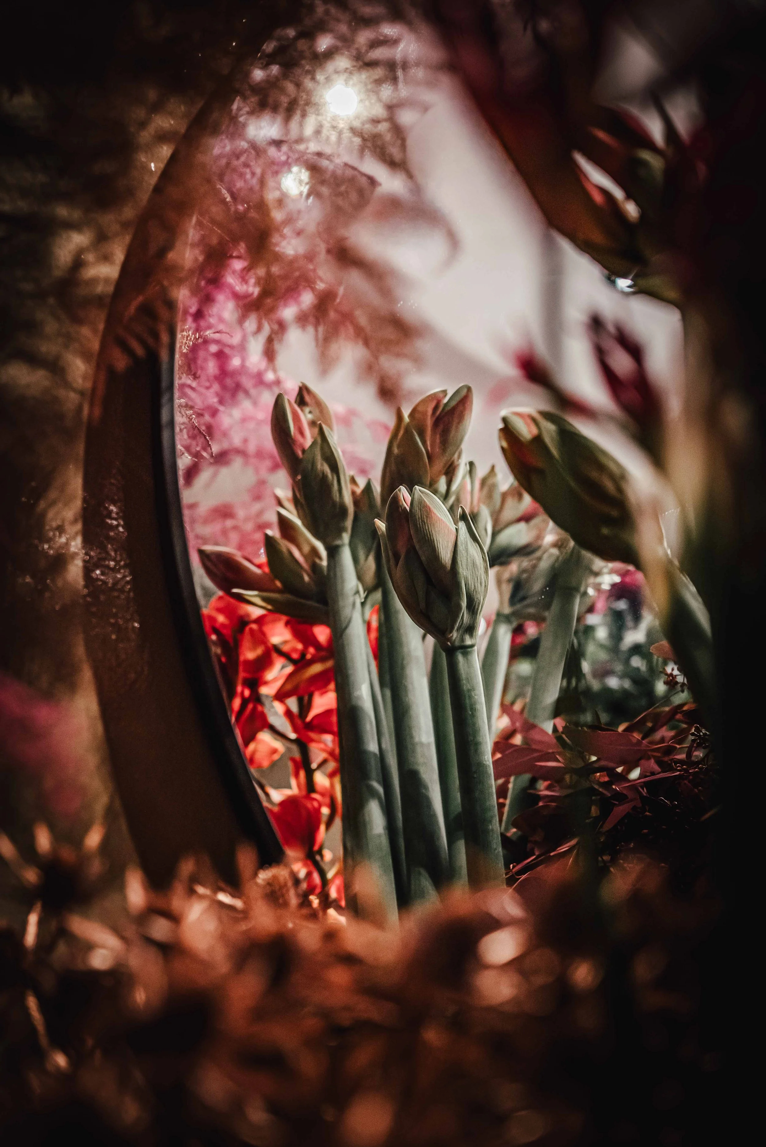 November 2025☼Vernissage Blumenbinderei_Social Media_cc_tamari-fotografie.de-25.jpg