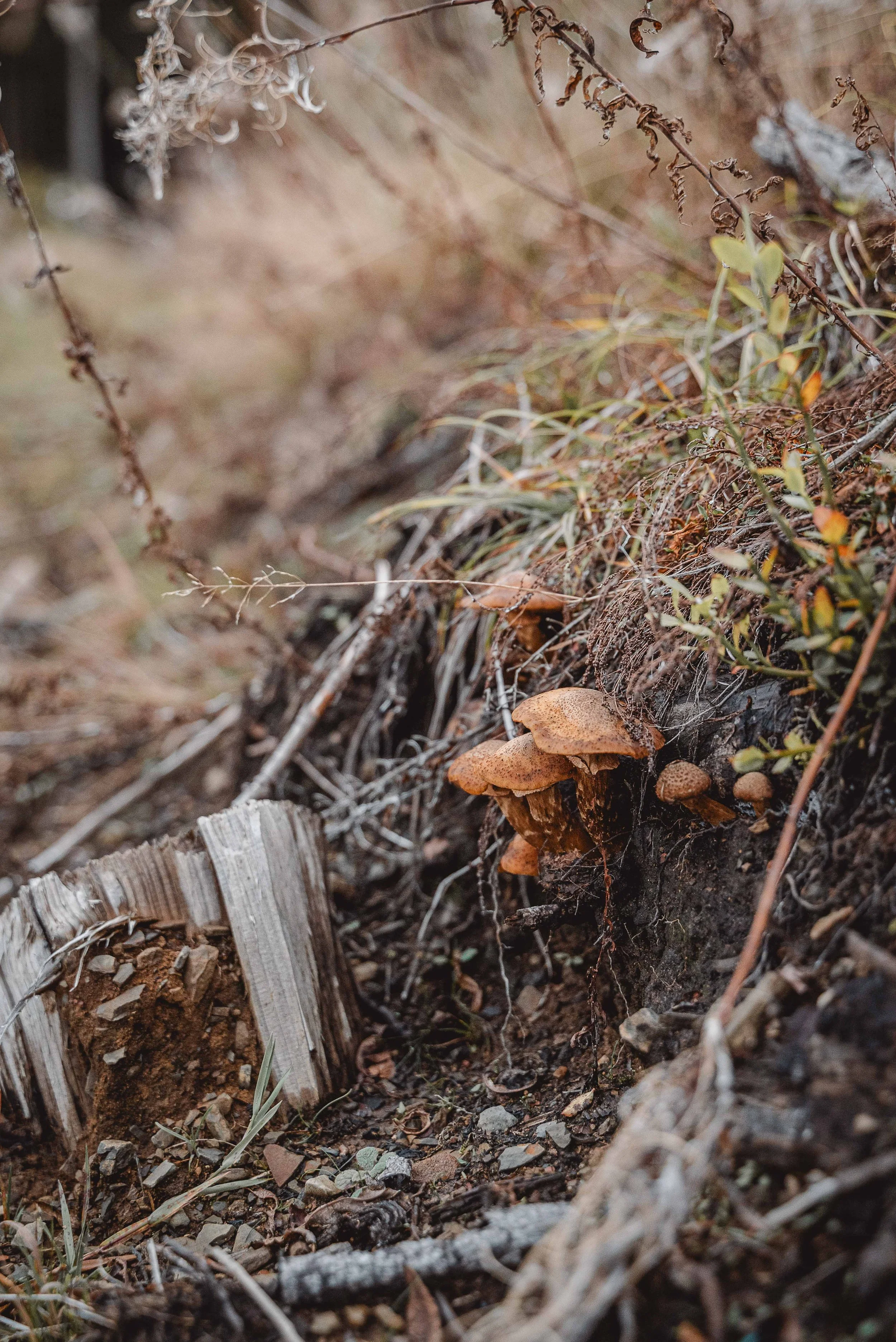 Business Portfolio Interieur_cc_tamari-fotografie.com-54.jpg