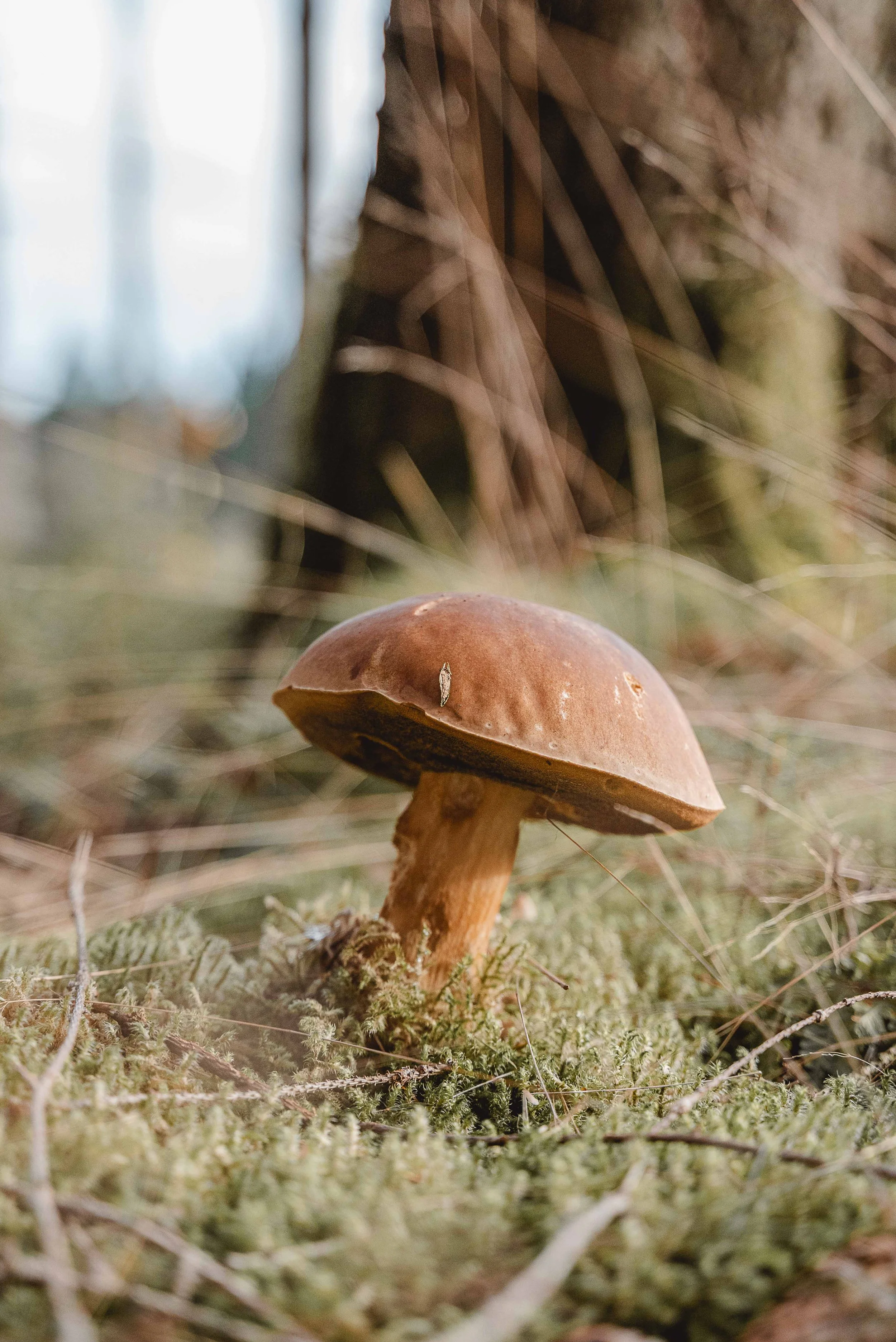 Business Portfolio Interieur_cc_tamari-fotografie.com-35.jpg