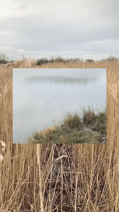 undefined-high (10).gif