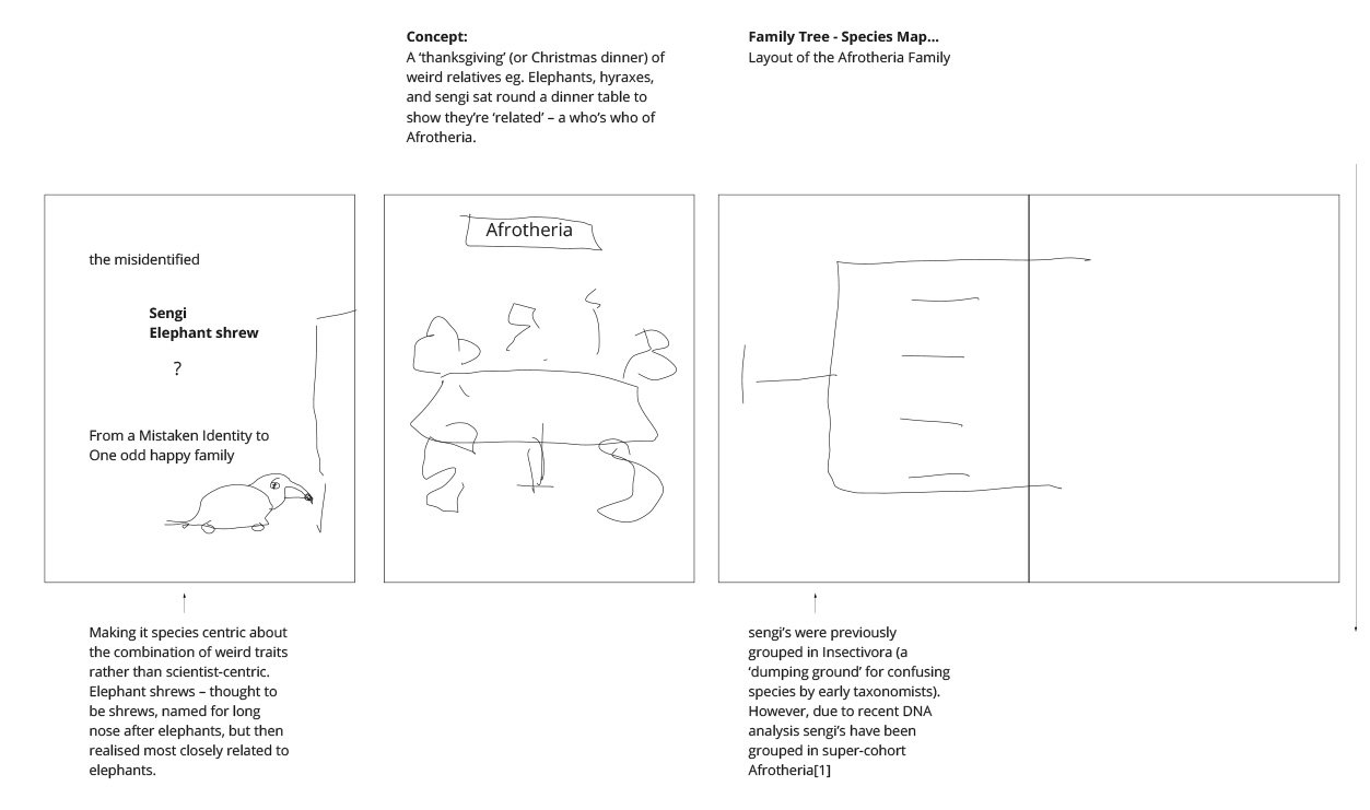 Animals In Therapy - Graphics-8.jpg