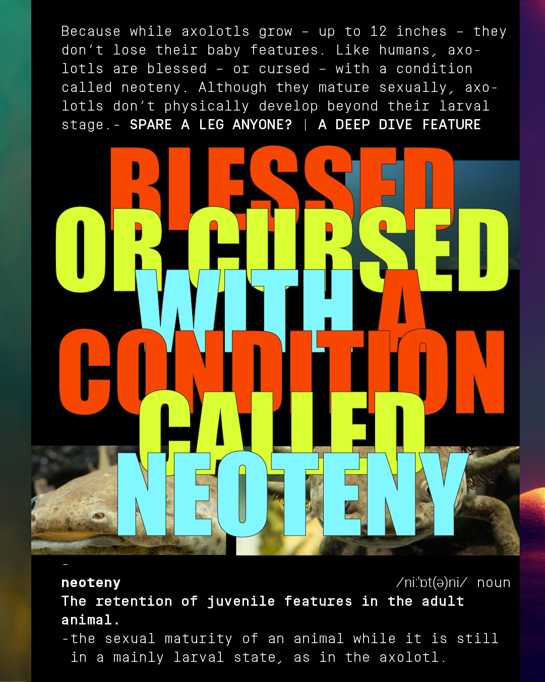 AiT_Axol_Fact 02_02.png