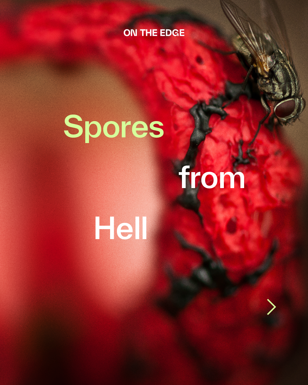 Artboard 1.png