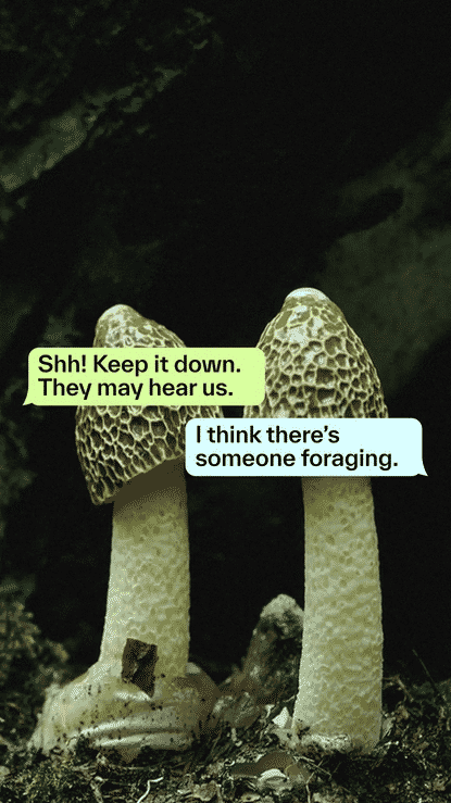 undefined-high (2).gif