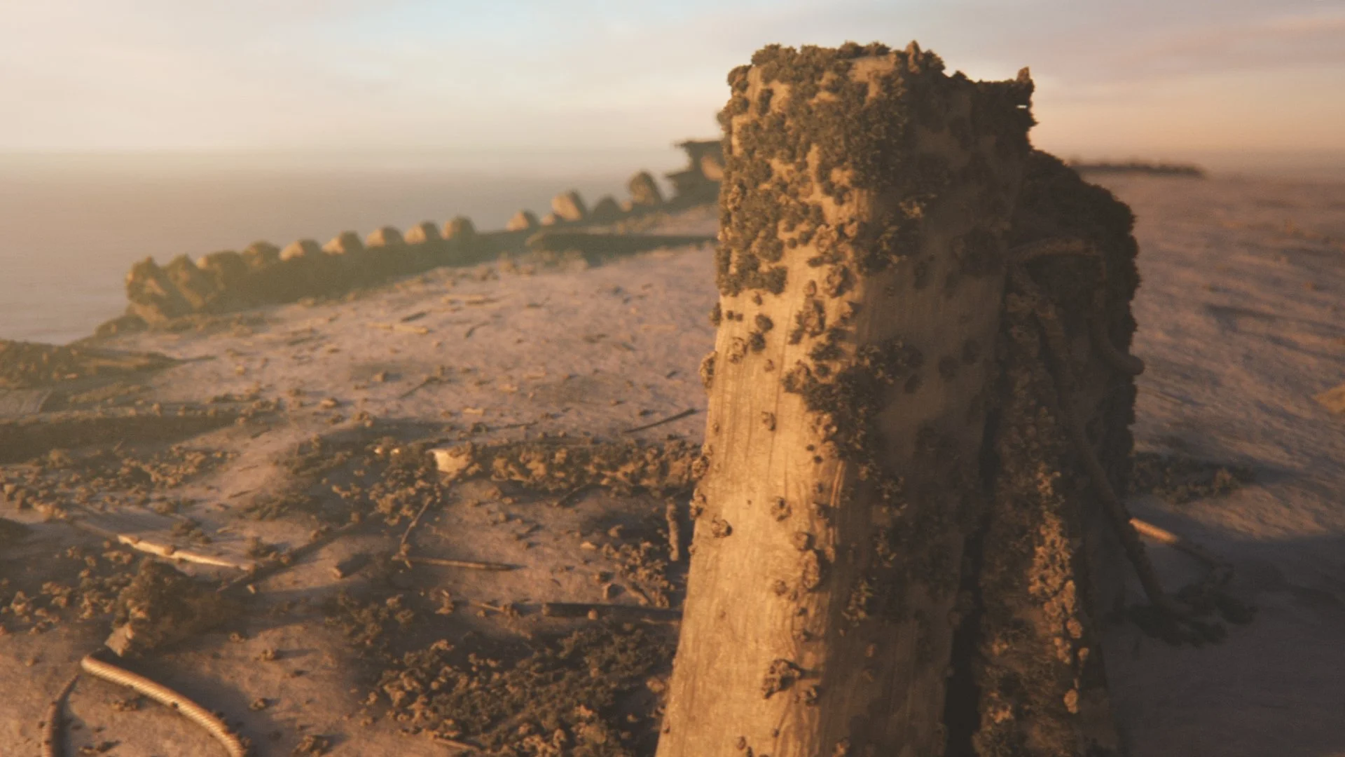 Close-up of old weathered wooden post with ropes and barnacles on sandy beach at sunset.