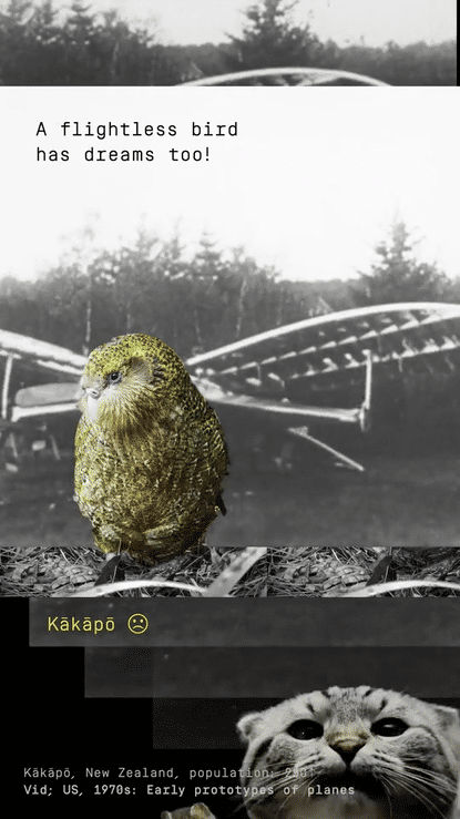 undefined-high (11).gif